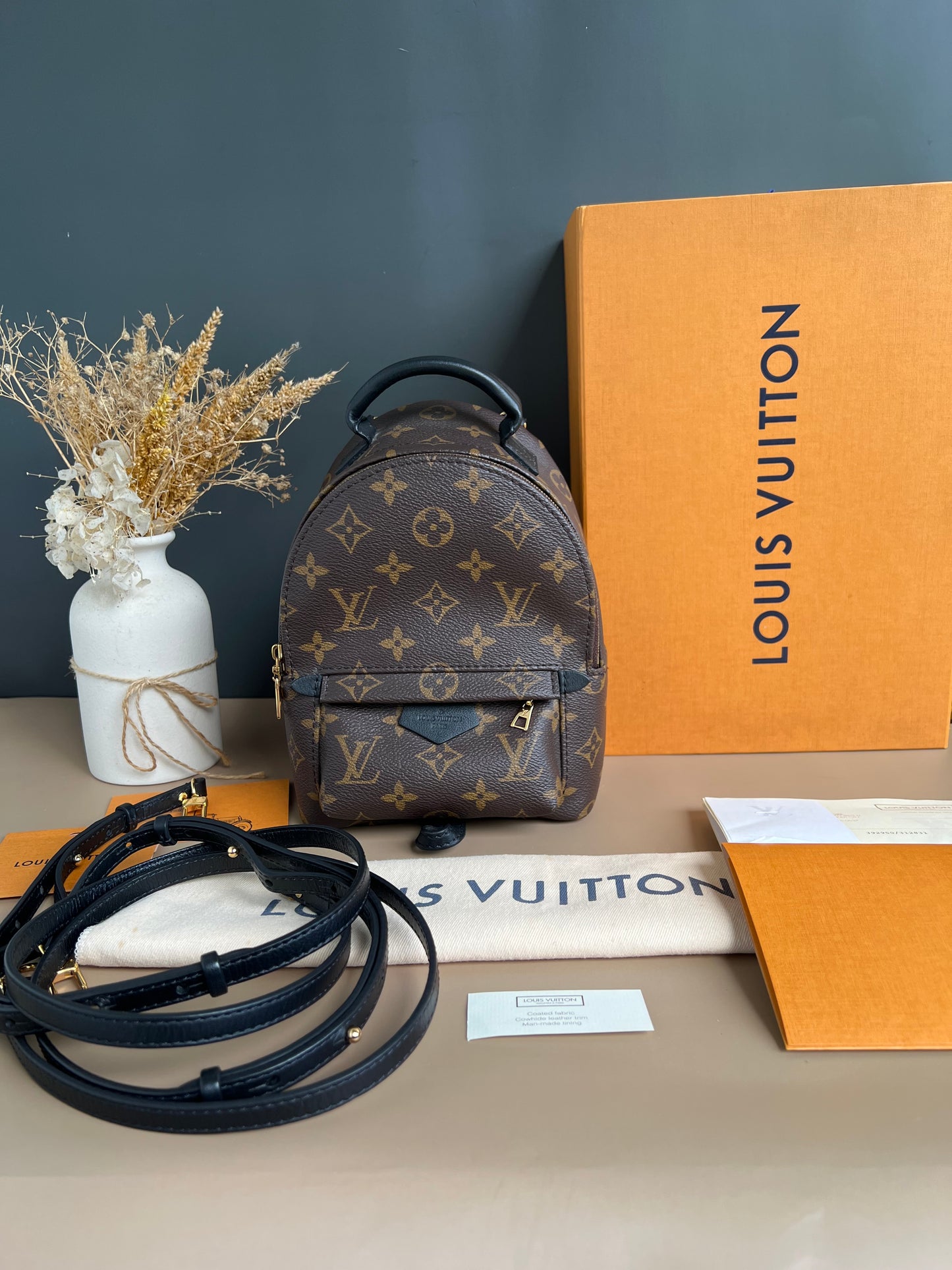 LOUIS VUITTON PALMSPRING MINI MONOGRAM