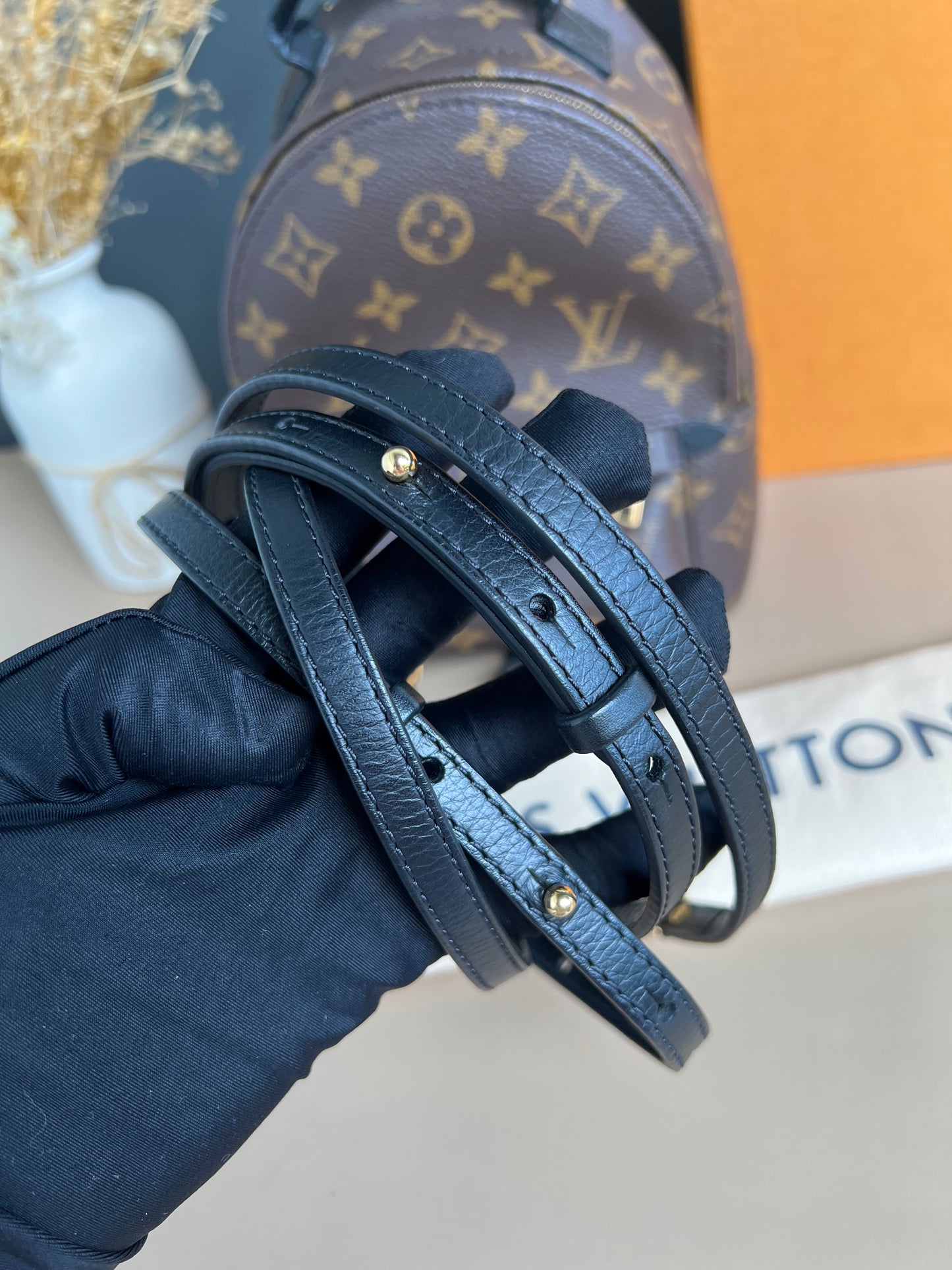 LOUIS VUITTON PALMSPRING MINI MONOGRAM