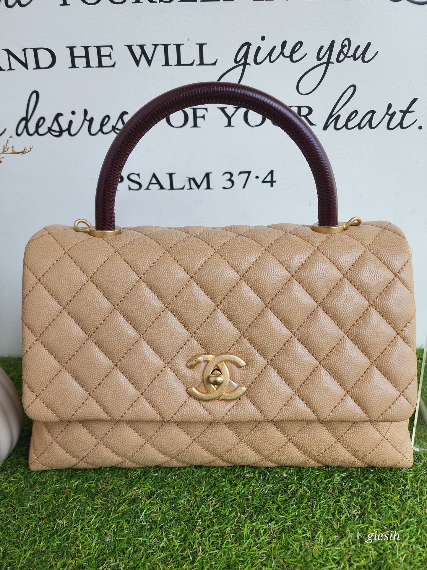 Chanel coco handle medium