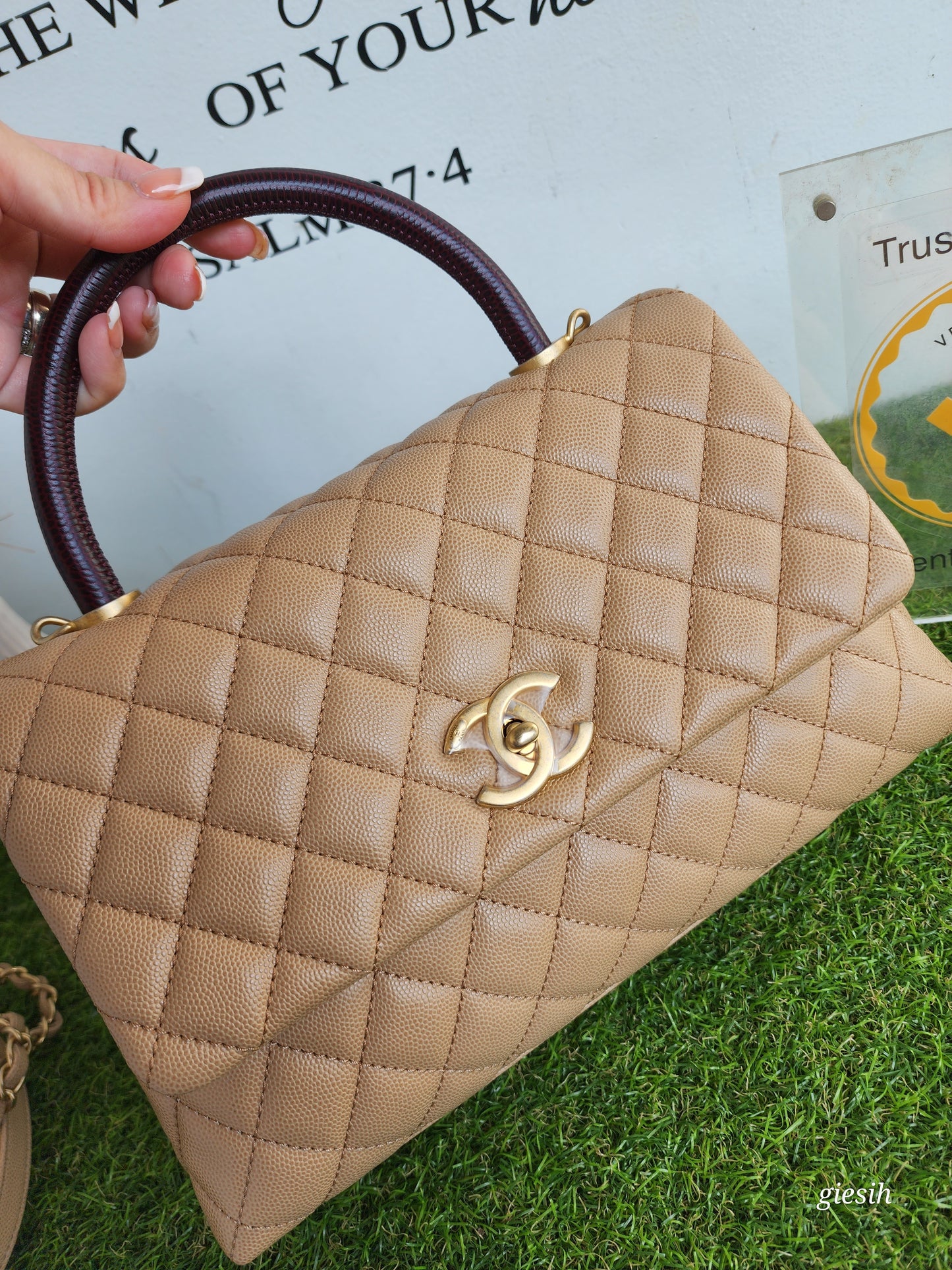 Chanel coco handle medium