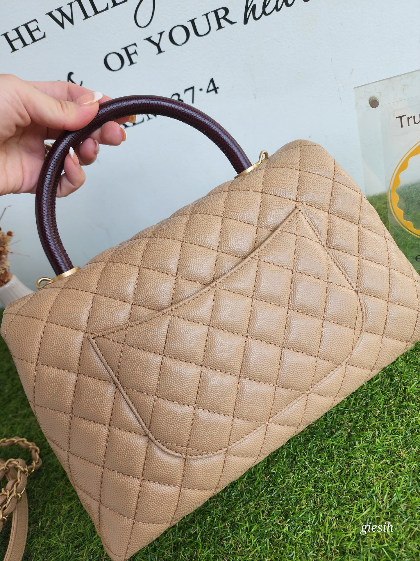 Chanel coco handle medium