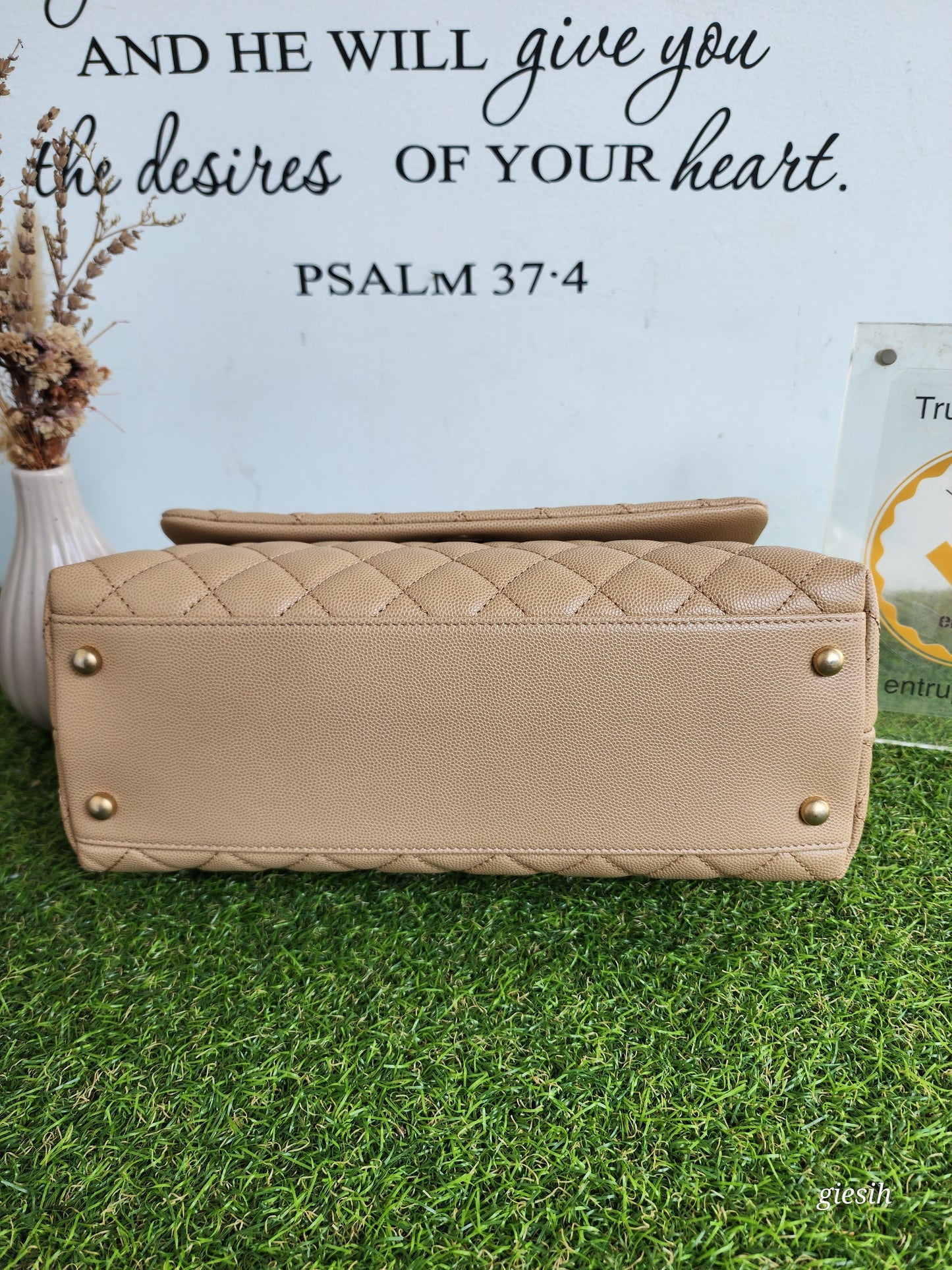 Chanel coco handle medium
