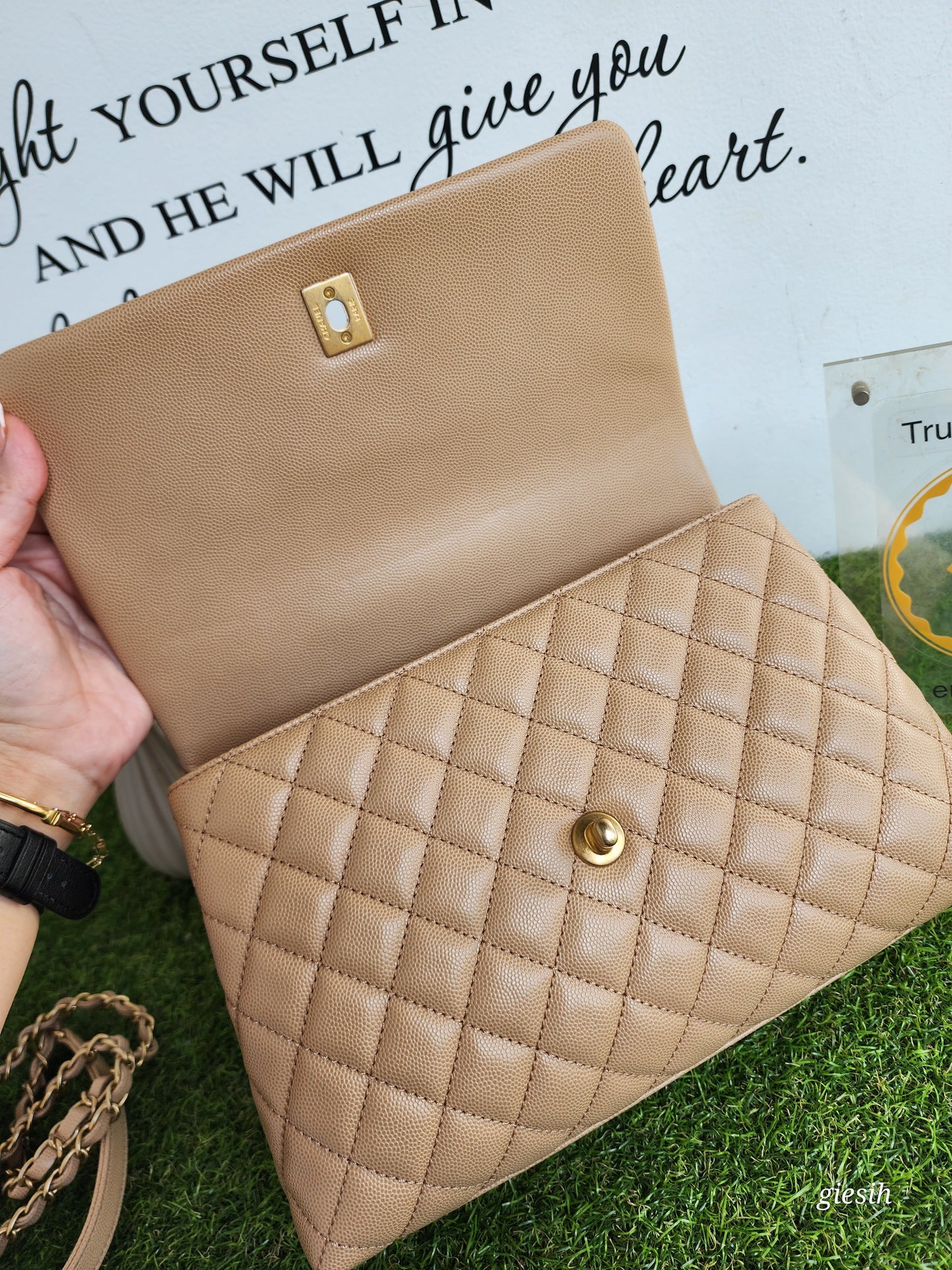 Chanel coco handle medium