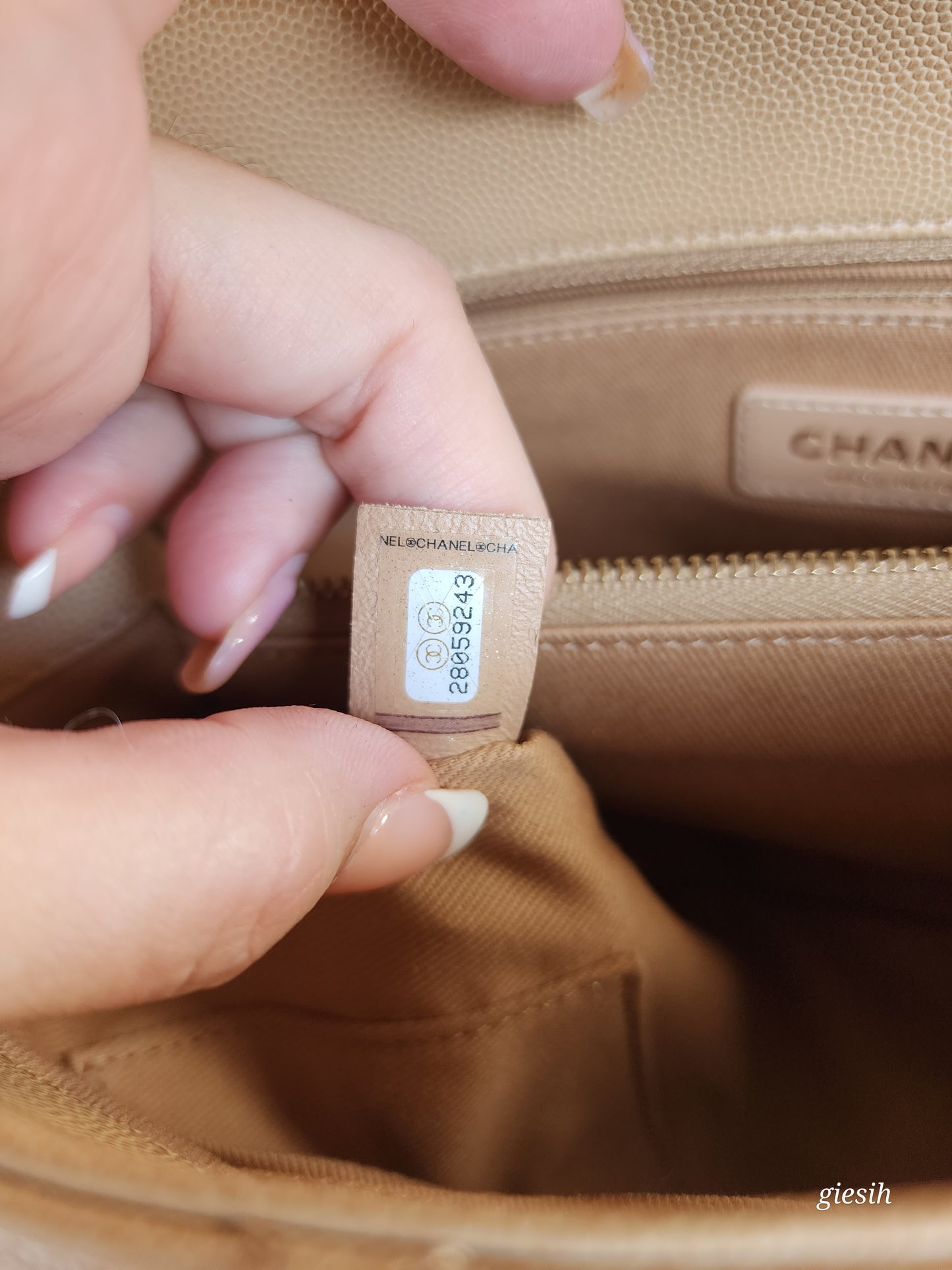 Chanel coco handle medium