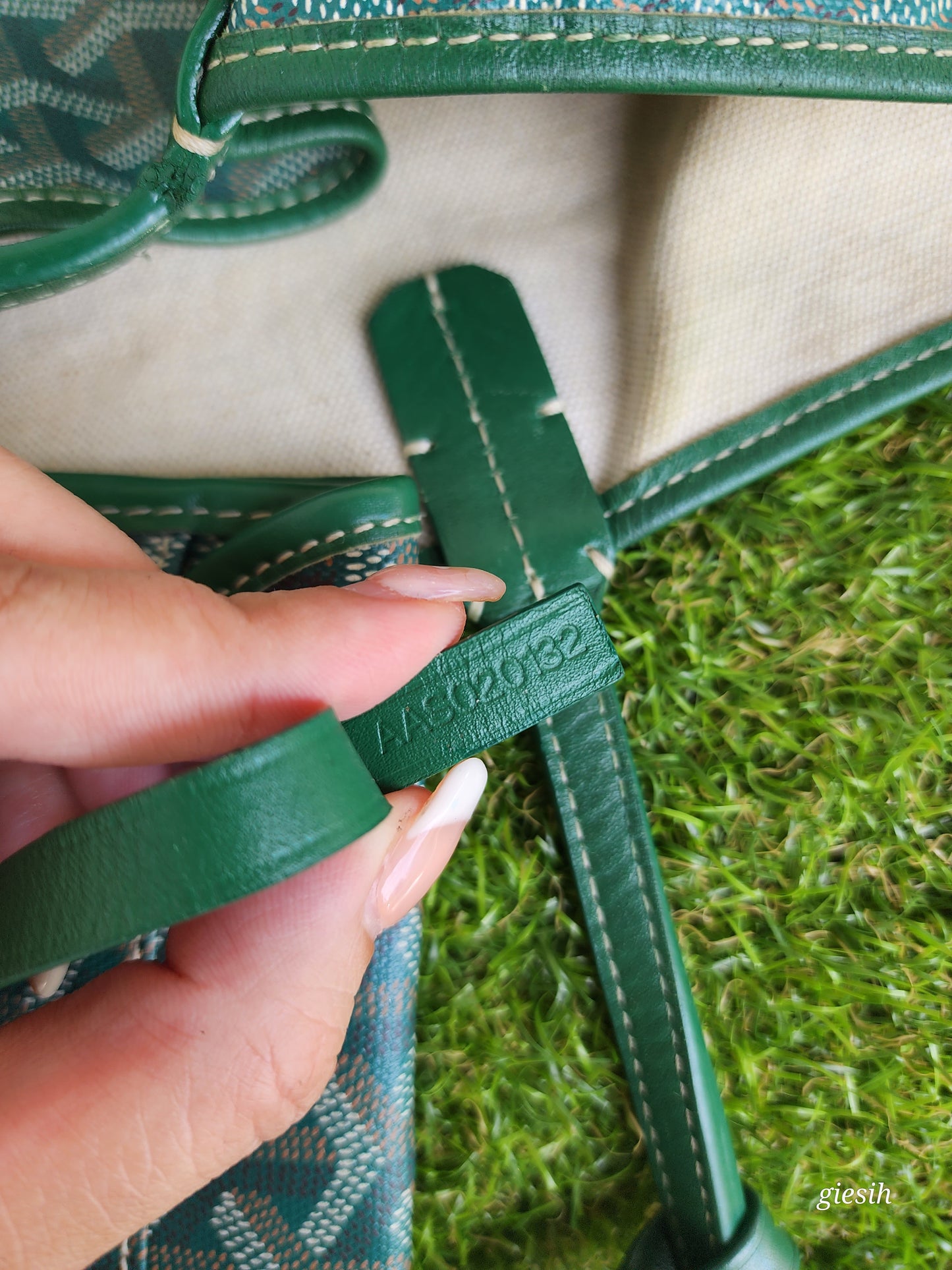 Goyard St Louis PM Green