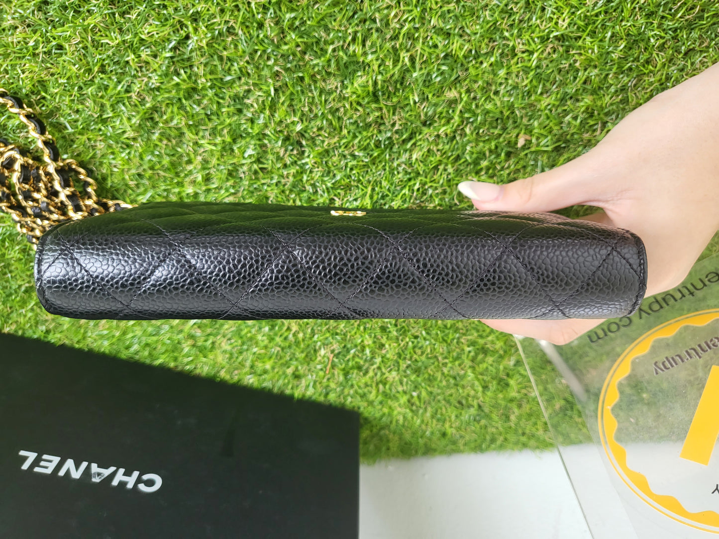Chanel WOC