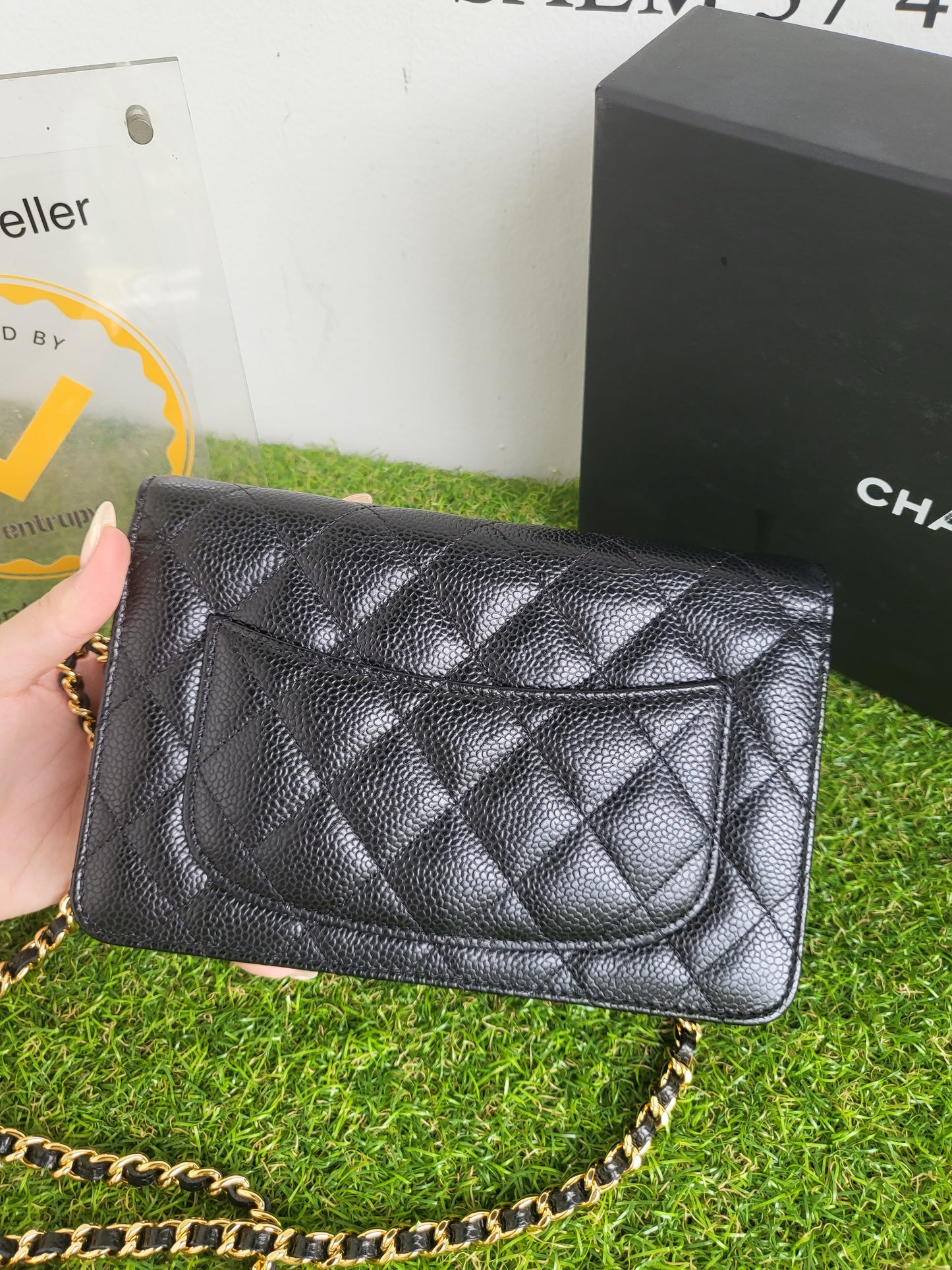 Chanel WOC