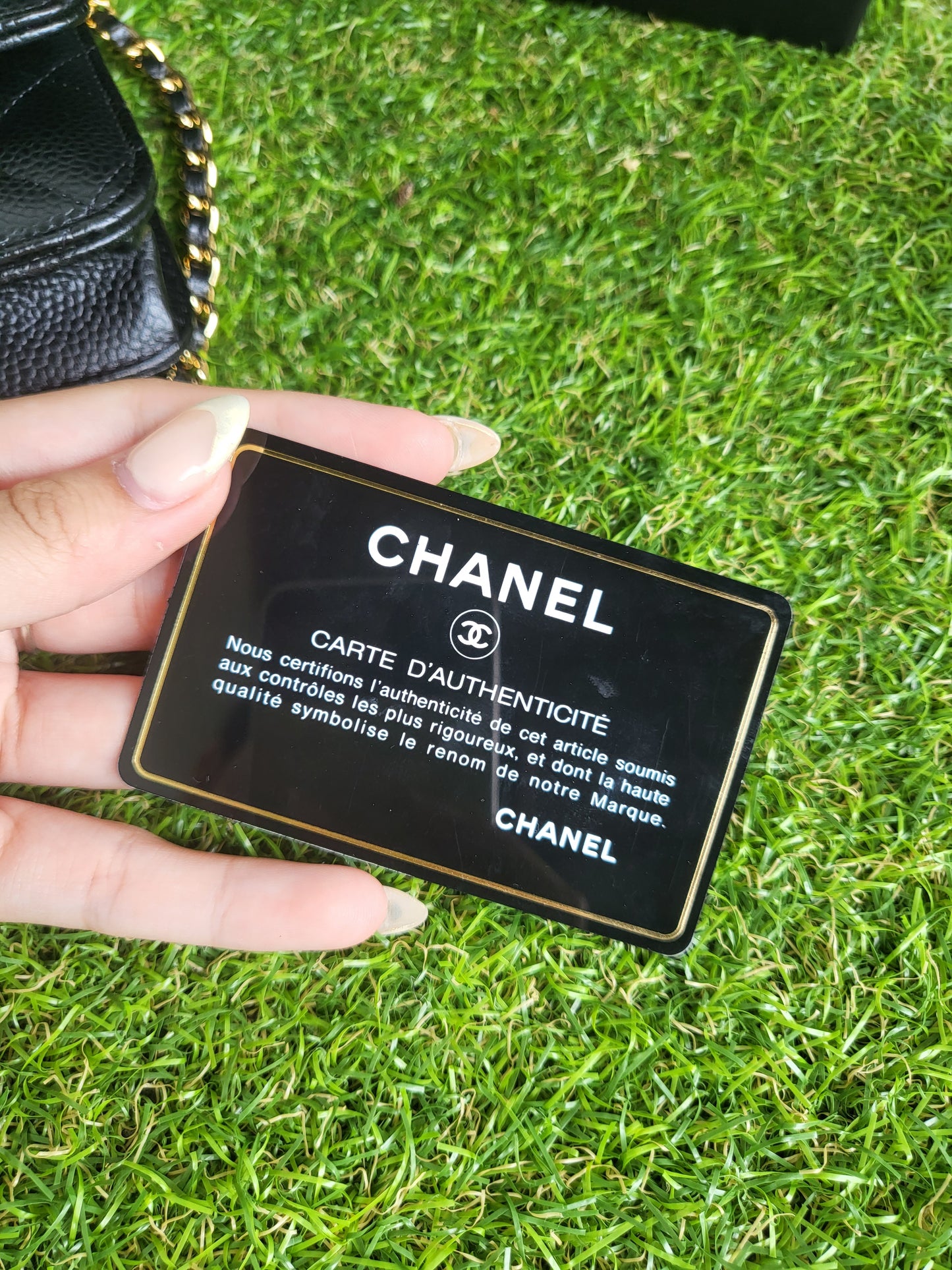 Chanel WOC