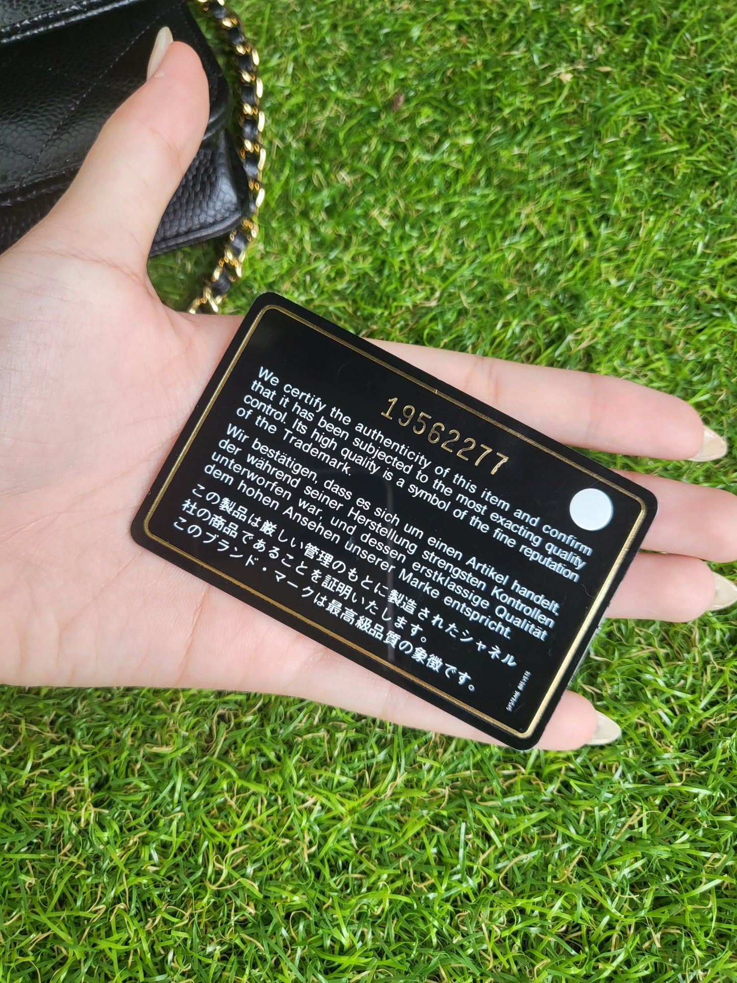 Chanel WOC