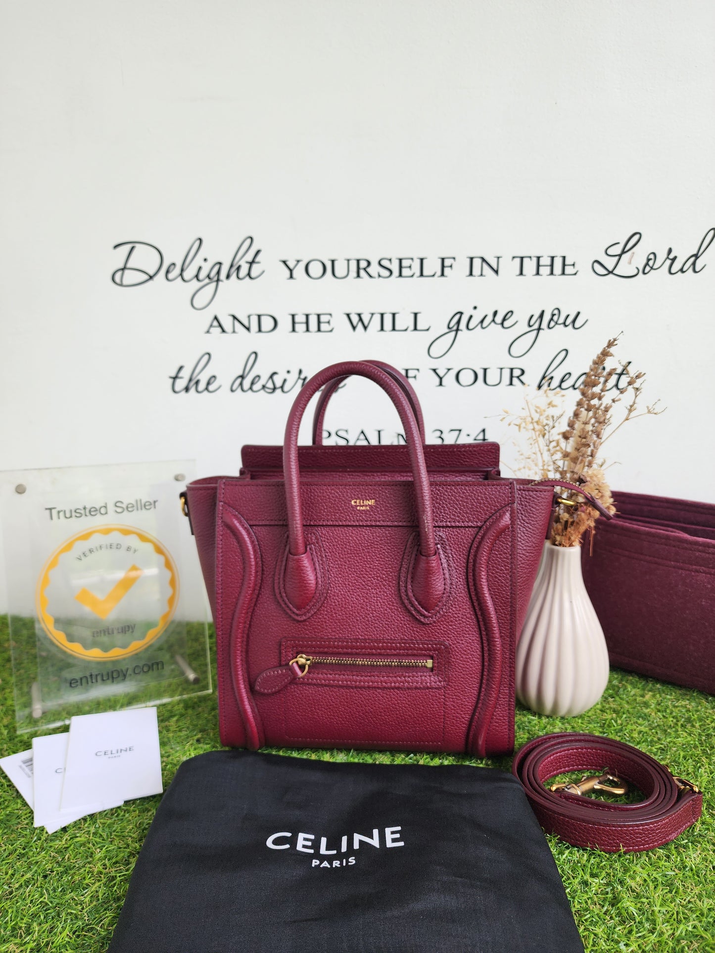 Celine Nano Luggage Acai