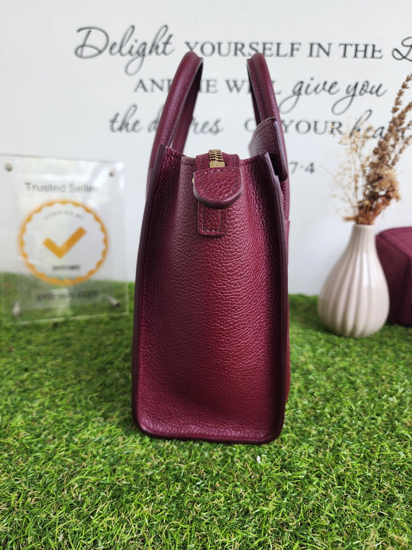 Celine Nano Luggage Acai