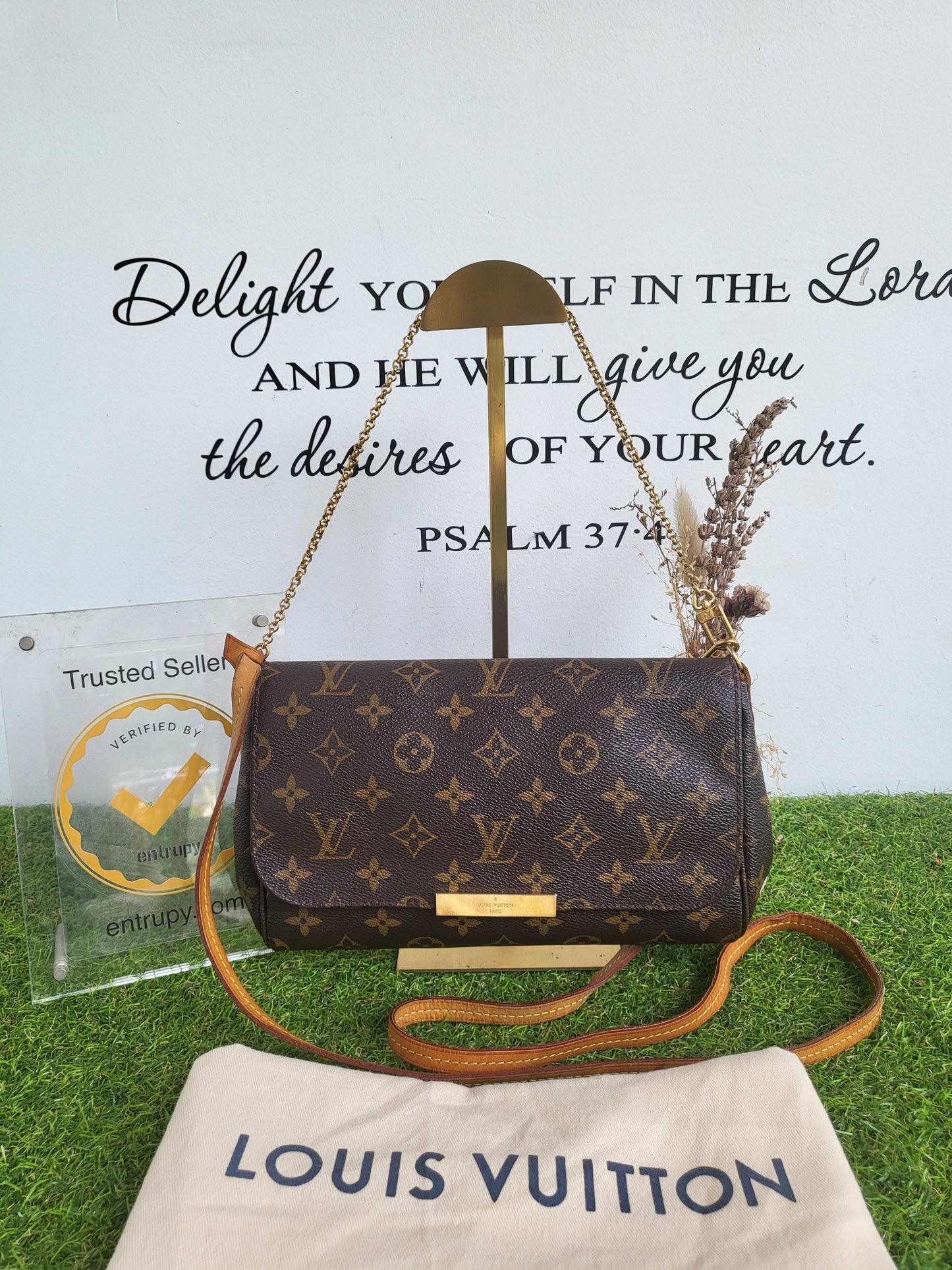Louis Vuitton Favorite MM