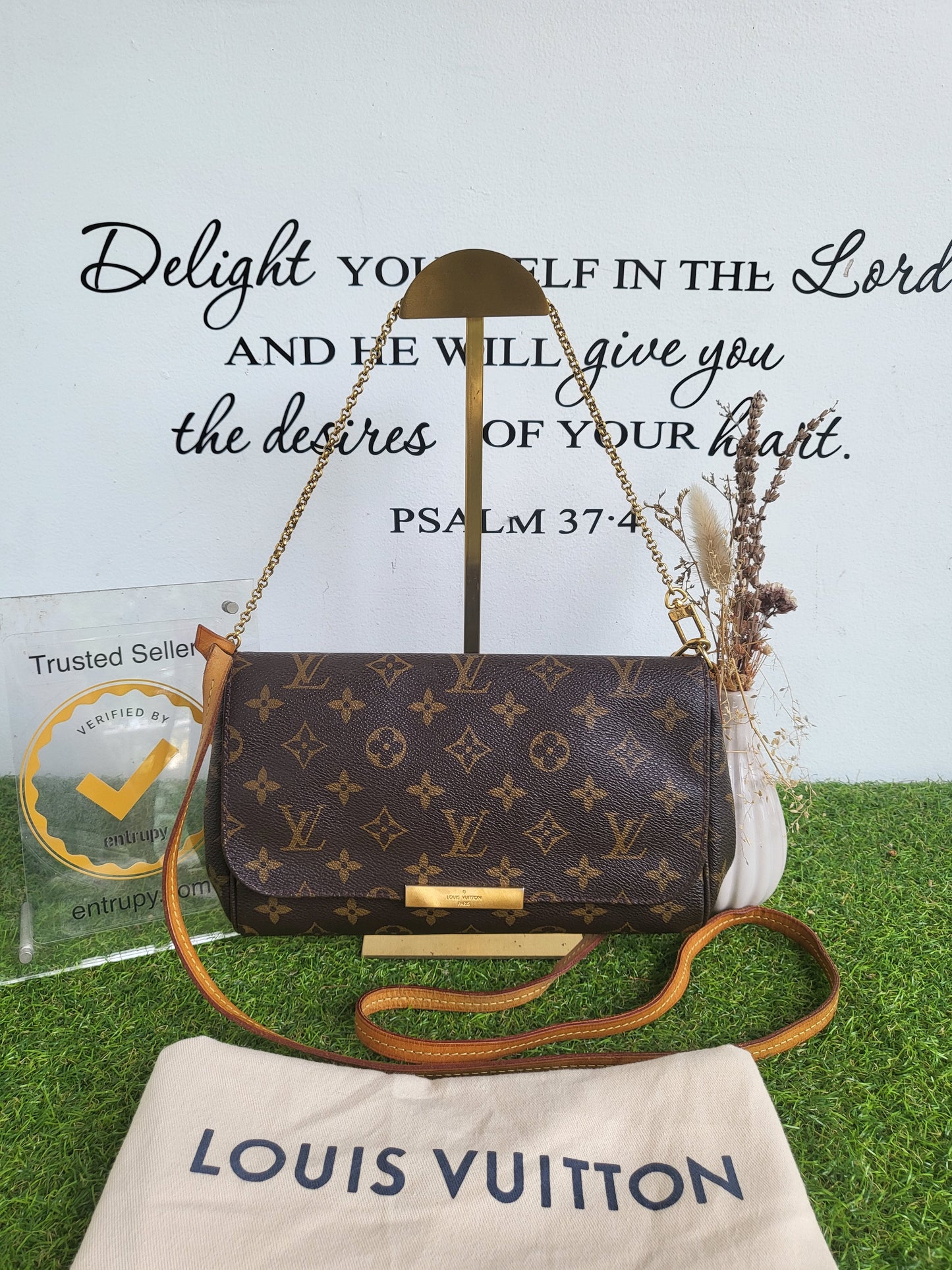 Louis Vuitton Favorite MM