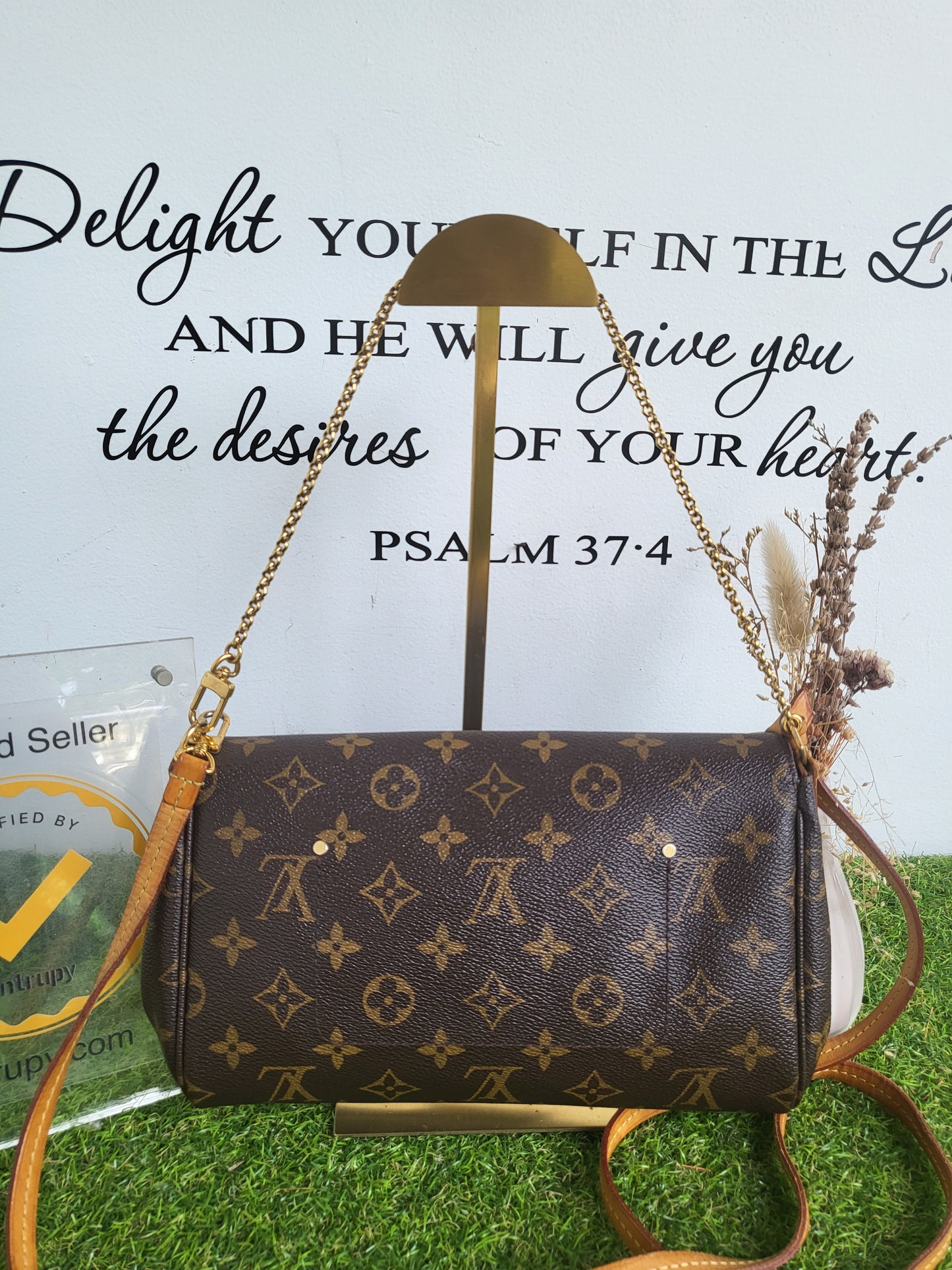 Louis Vuitton Favorite MM