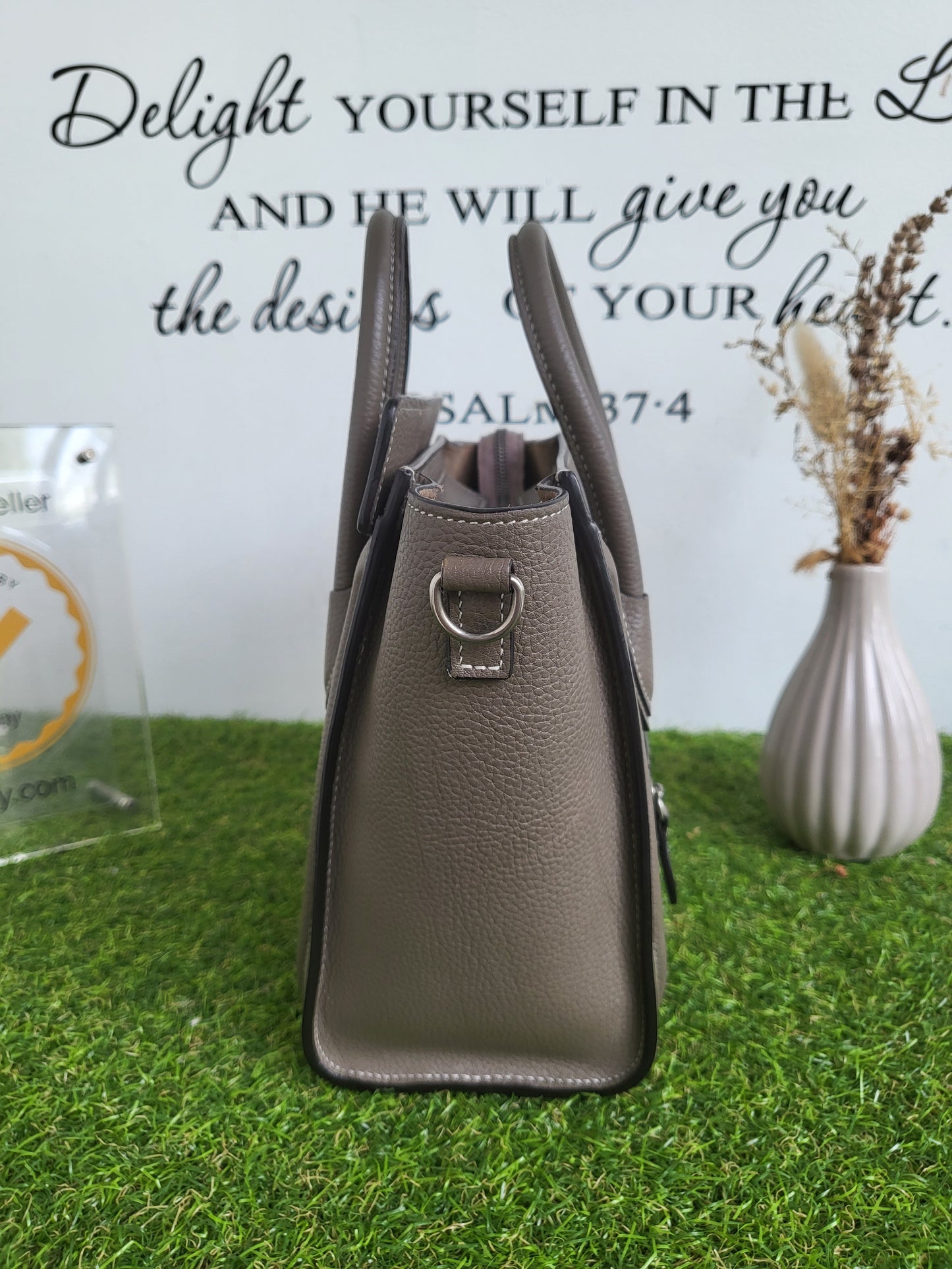 Celine Nano Luggage Souris