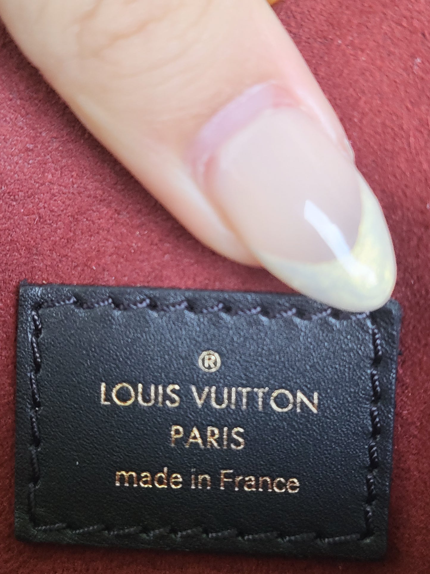Louis Vuitton OTG MM bi color