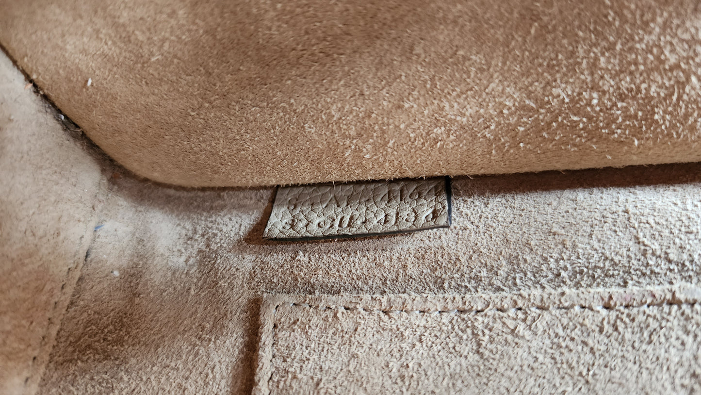 Celine Nano Luggage