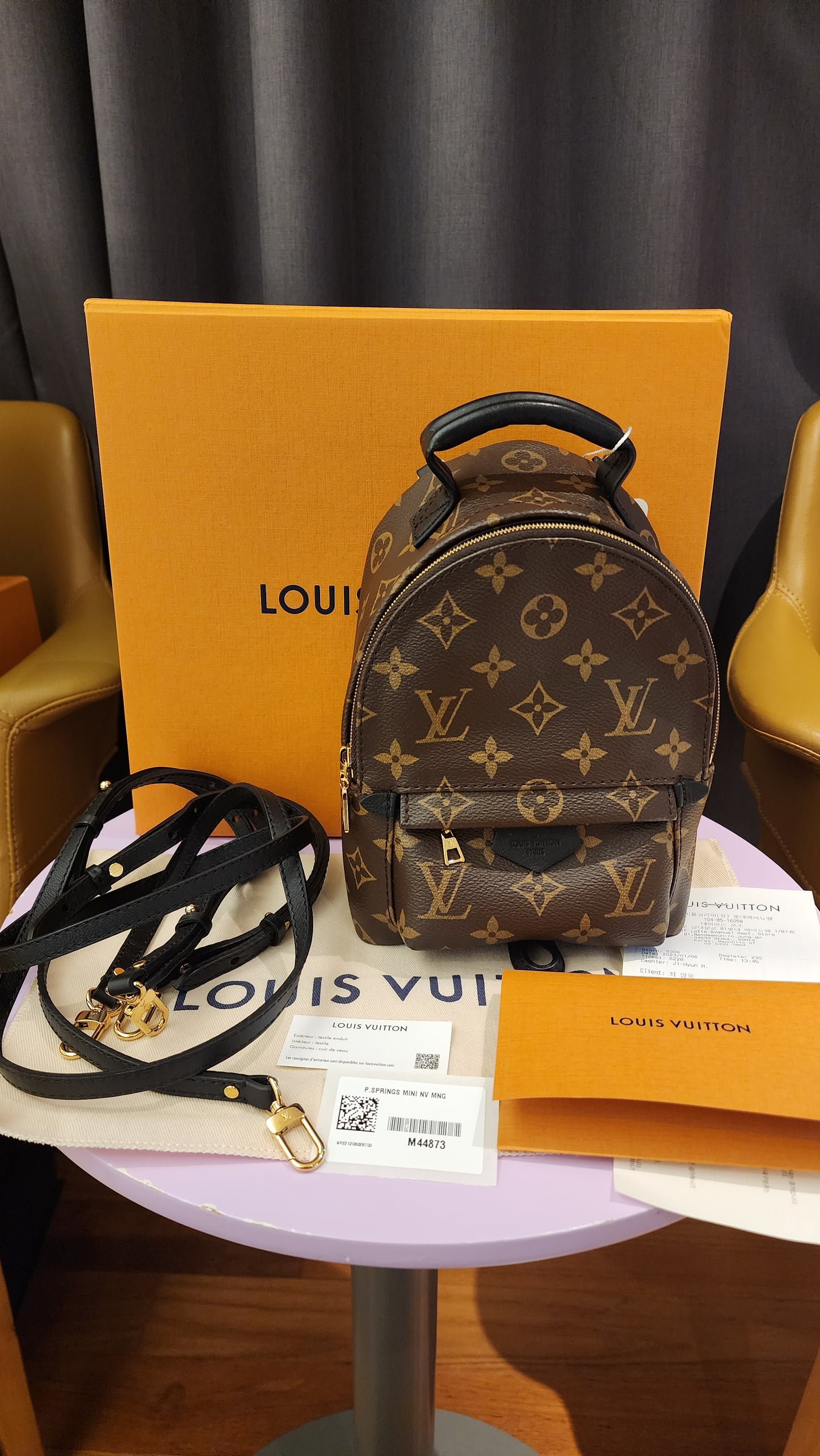 IN TRANSIT - LOUIS VUITTON PALMSPRING MINI