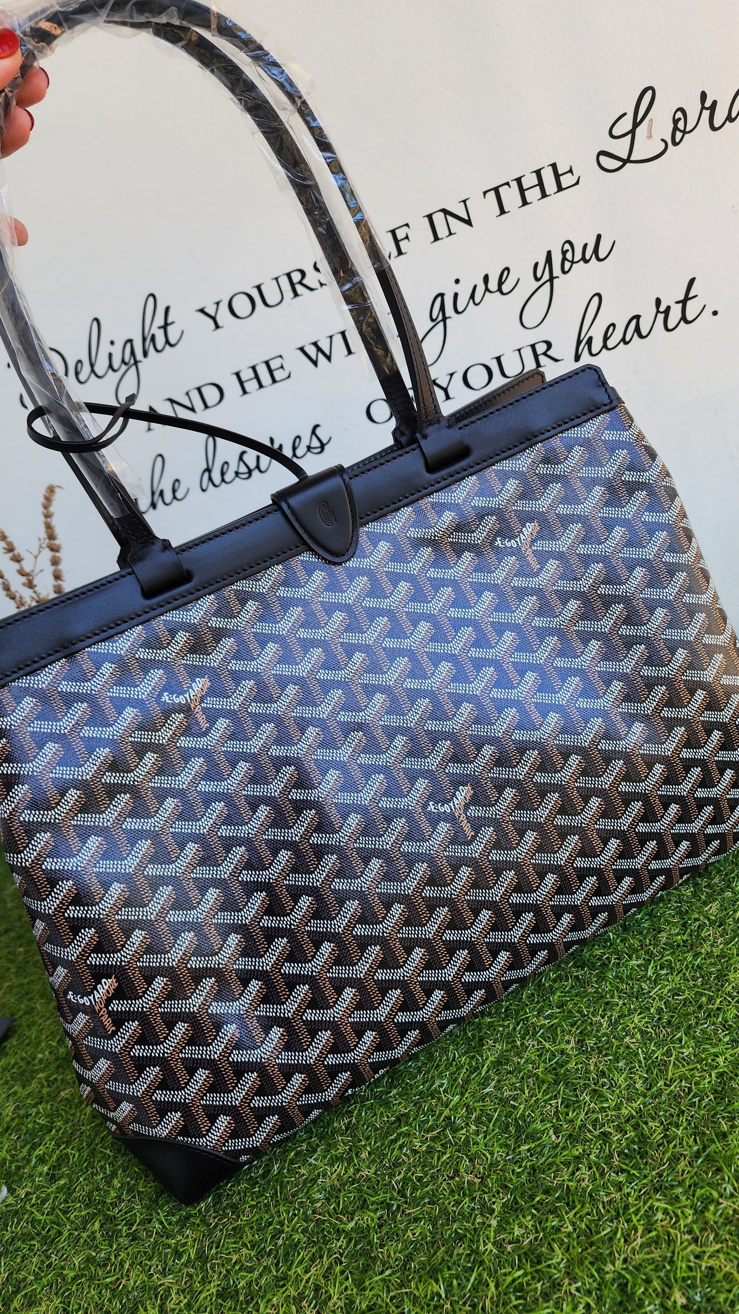 BRANDNEW GOYARD BELLACHESE BIAUDE PM