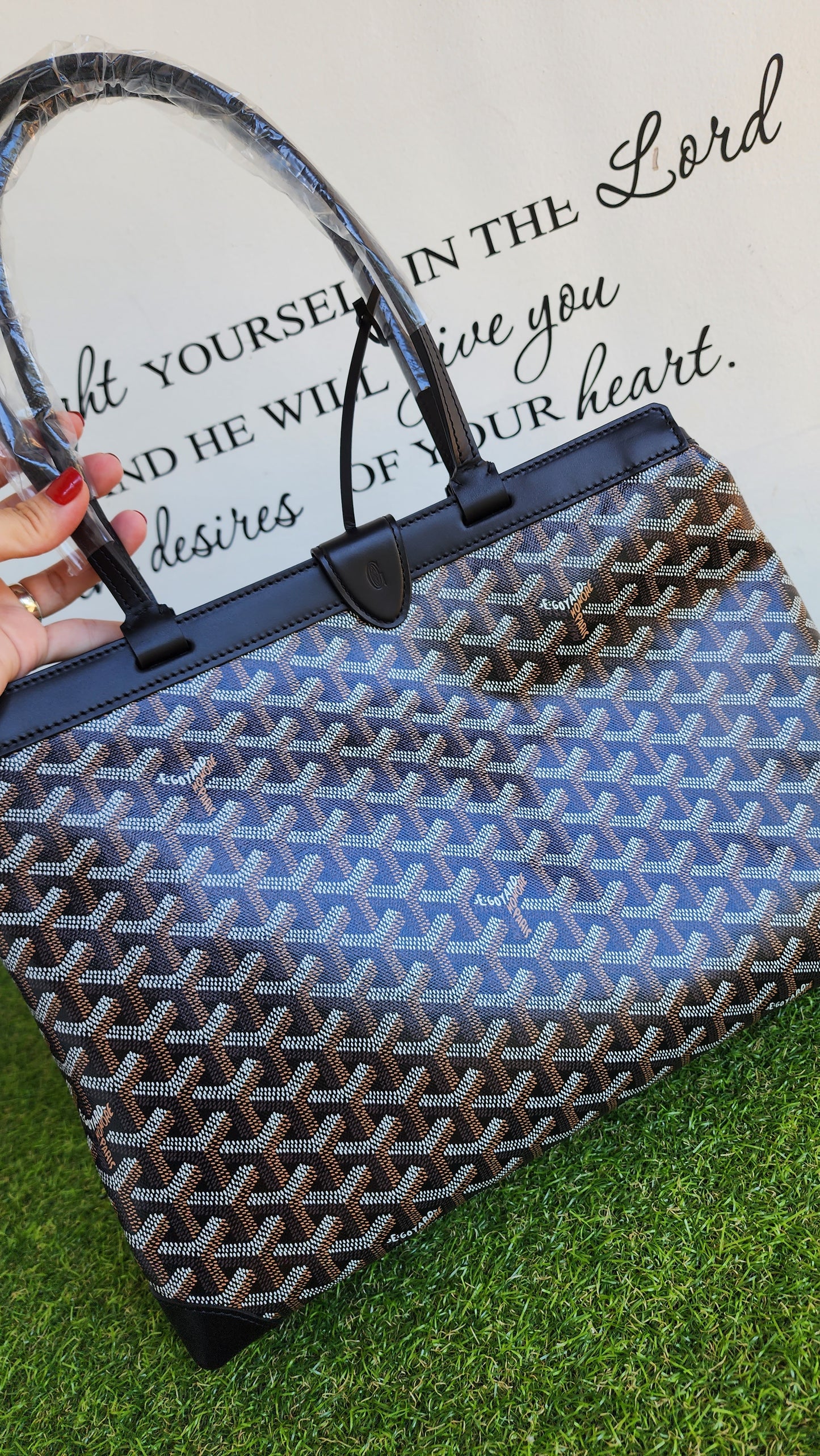 BRANDNEW GOYARD BELLACHESE BIAUDE PM