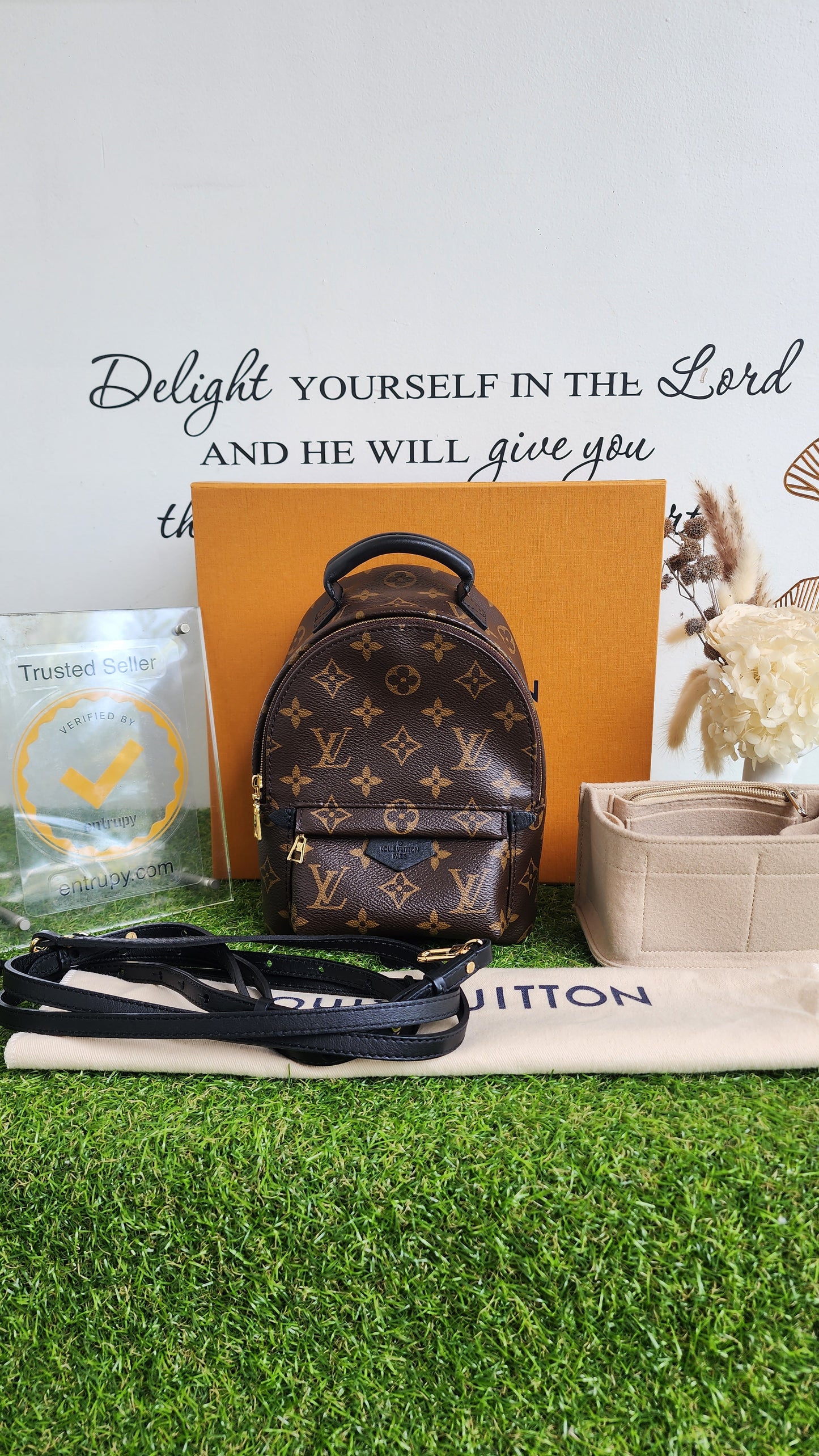 LOUIS VUITTON PALMSPRING MINI MONO