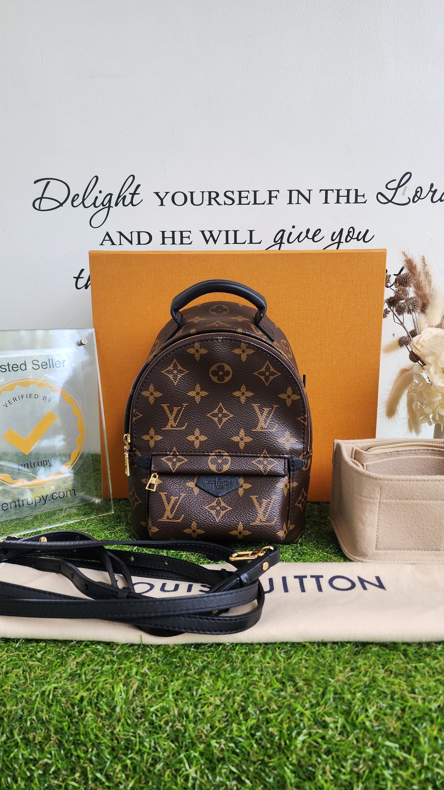 LOUIS VUITTON PALMSPRING MINI MONO