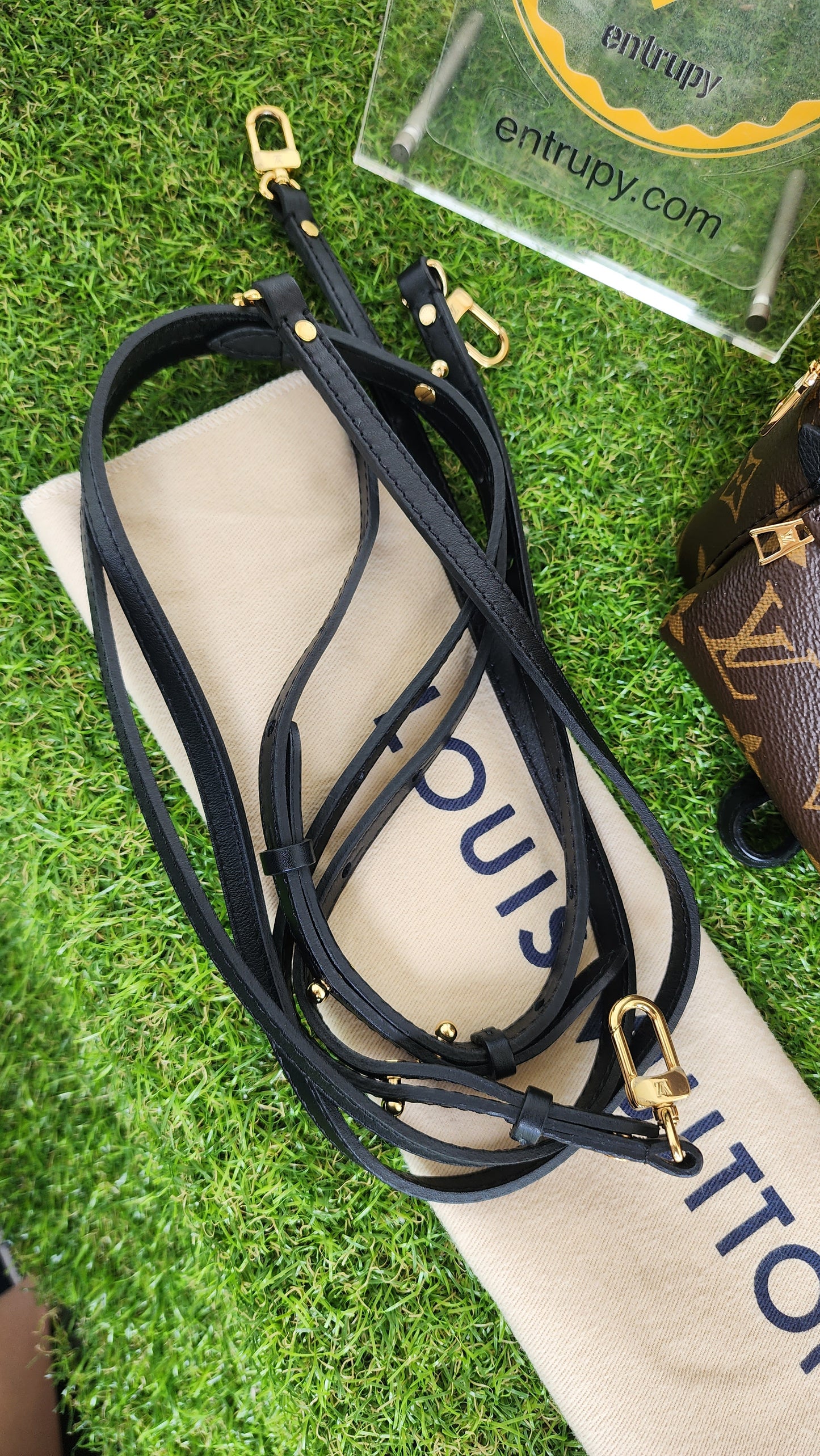 LOUIS VUITTON PALMSPRING MINI MONO