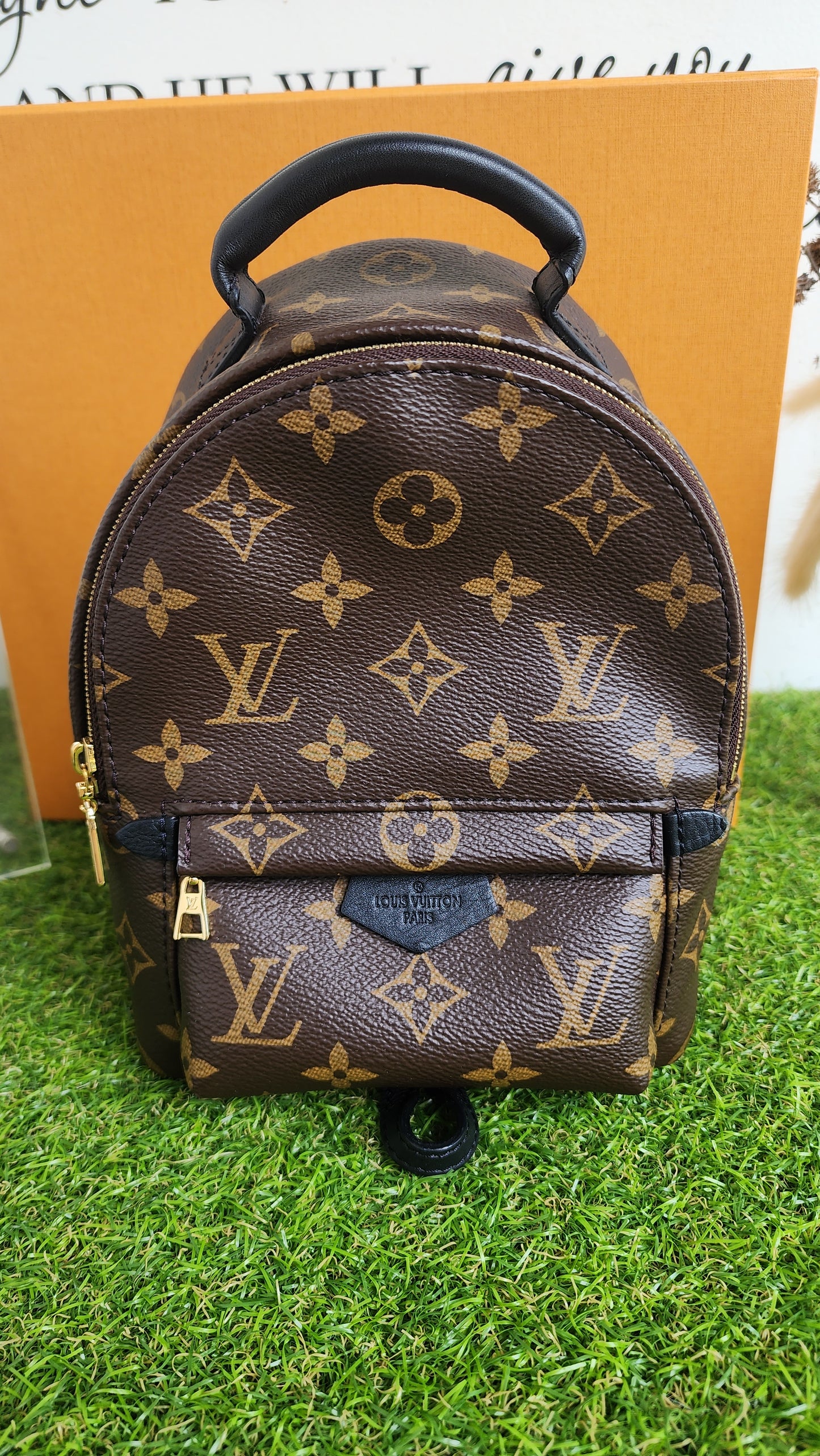 LOUIS VUITTON PALMSPRING MINI MONO
