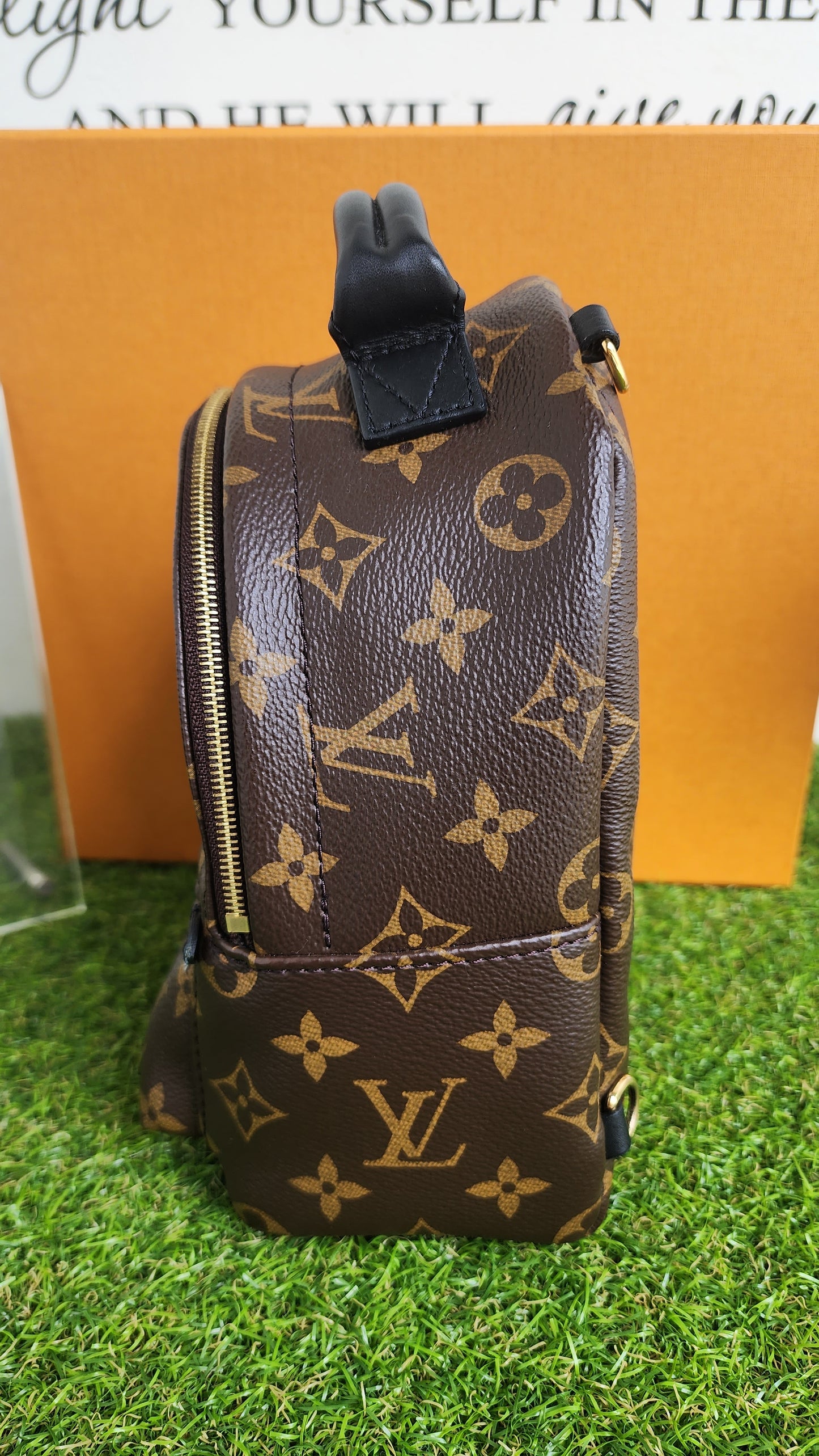 LOUIS VUITTON PALMSPRING MINI MONO