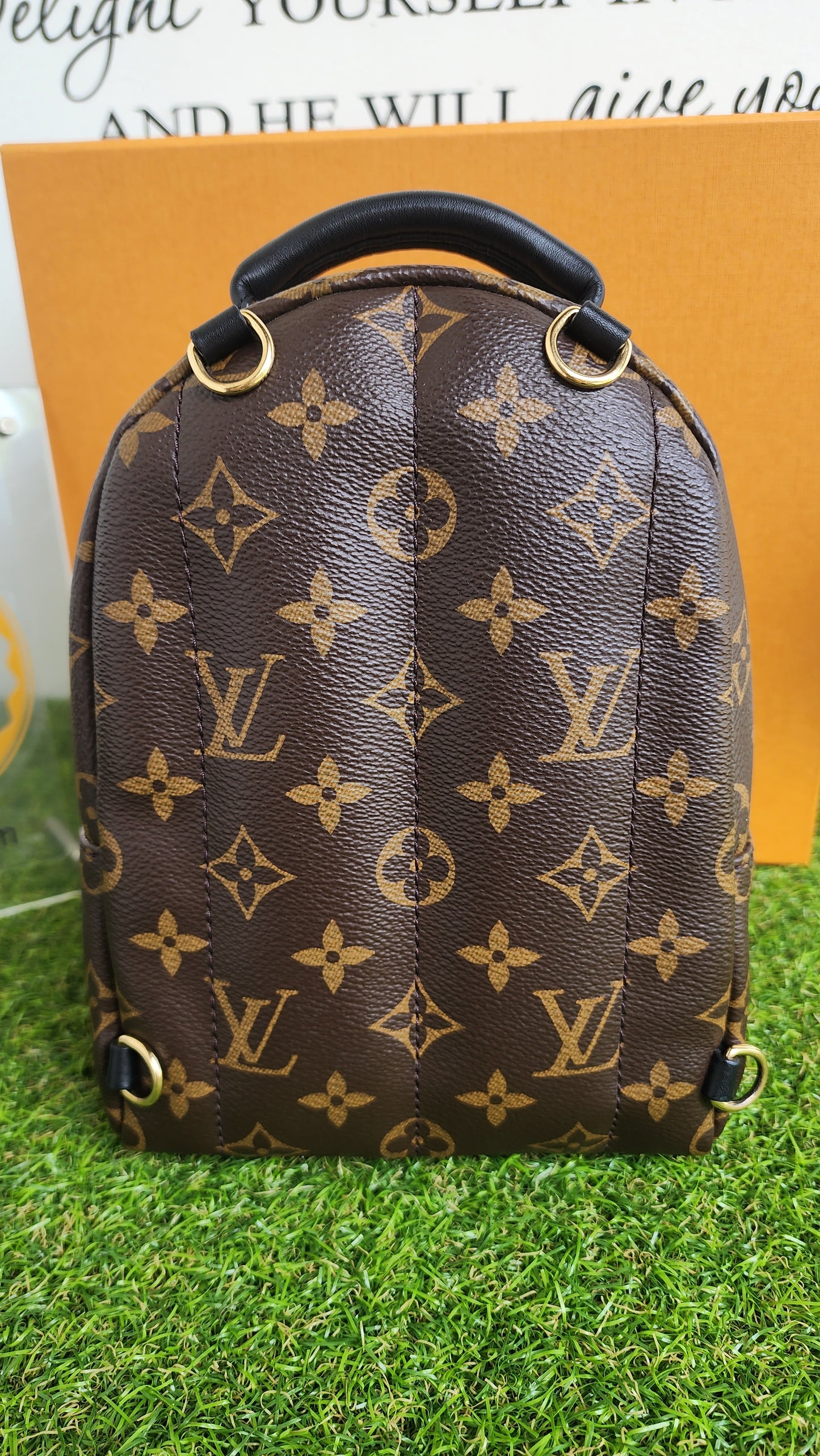 LOUIS VUITTON PALMSPRING MINI MONO