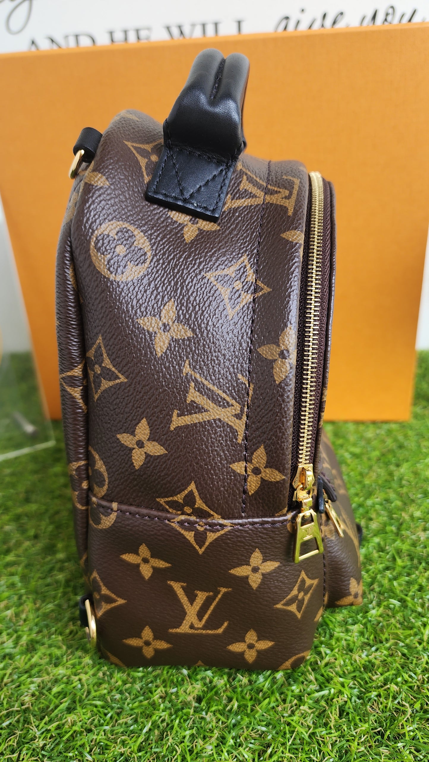 LOUIS VUITTON PALMSPRING MINI MONO