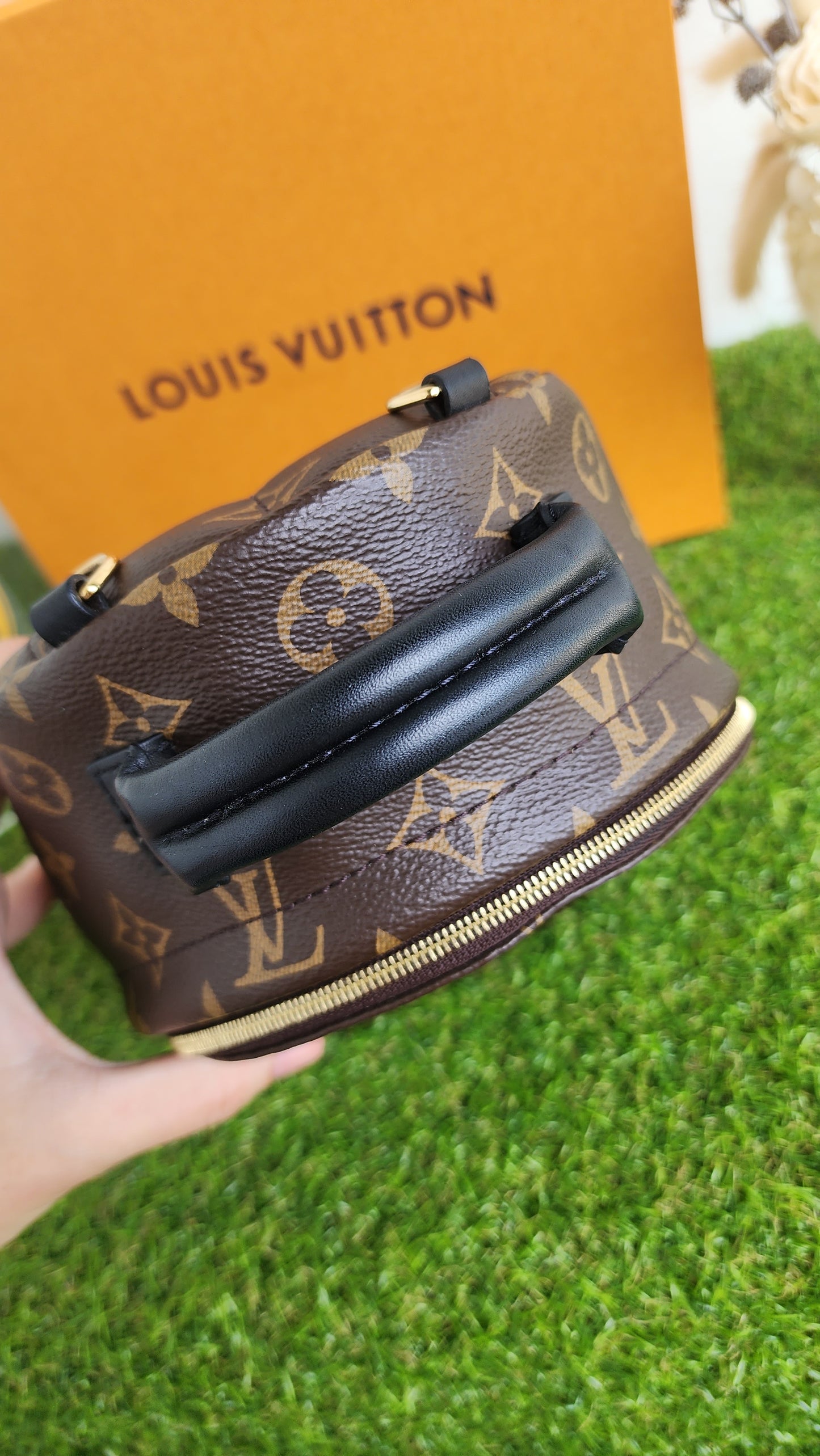 LOUIS VUITTON PALMSPRING MINI MONO