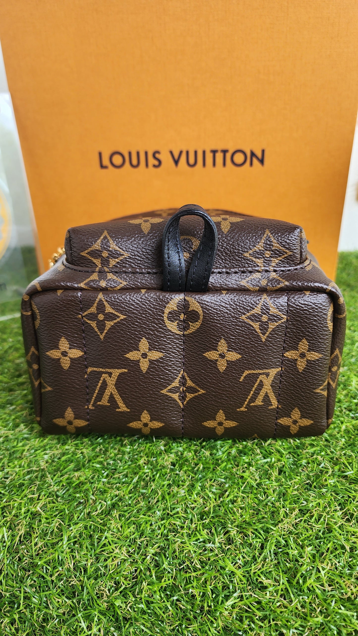 LOUIS VUITTON PALMSPRING MINI MONO