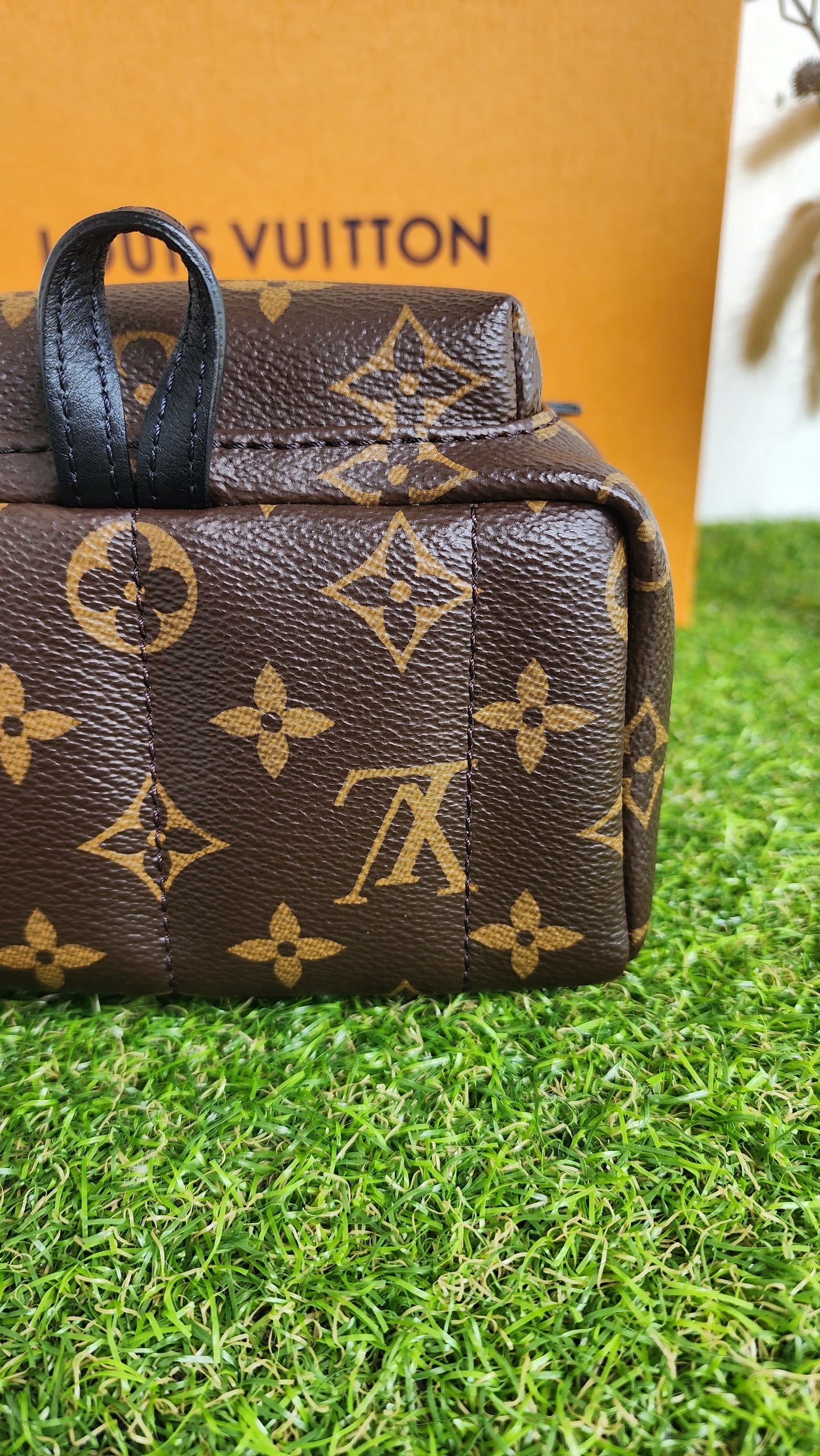 LOUIS VUITTON PALMSPRING MINI MONO