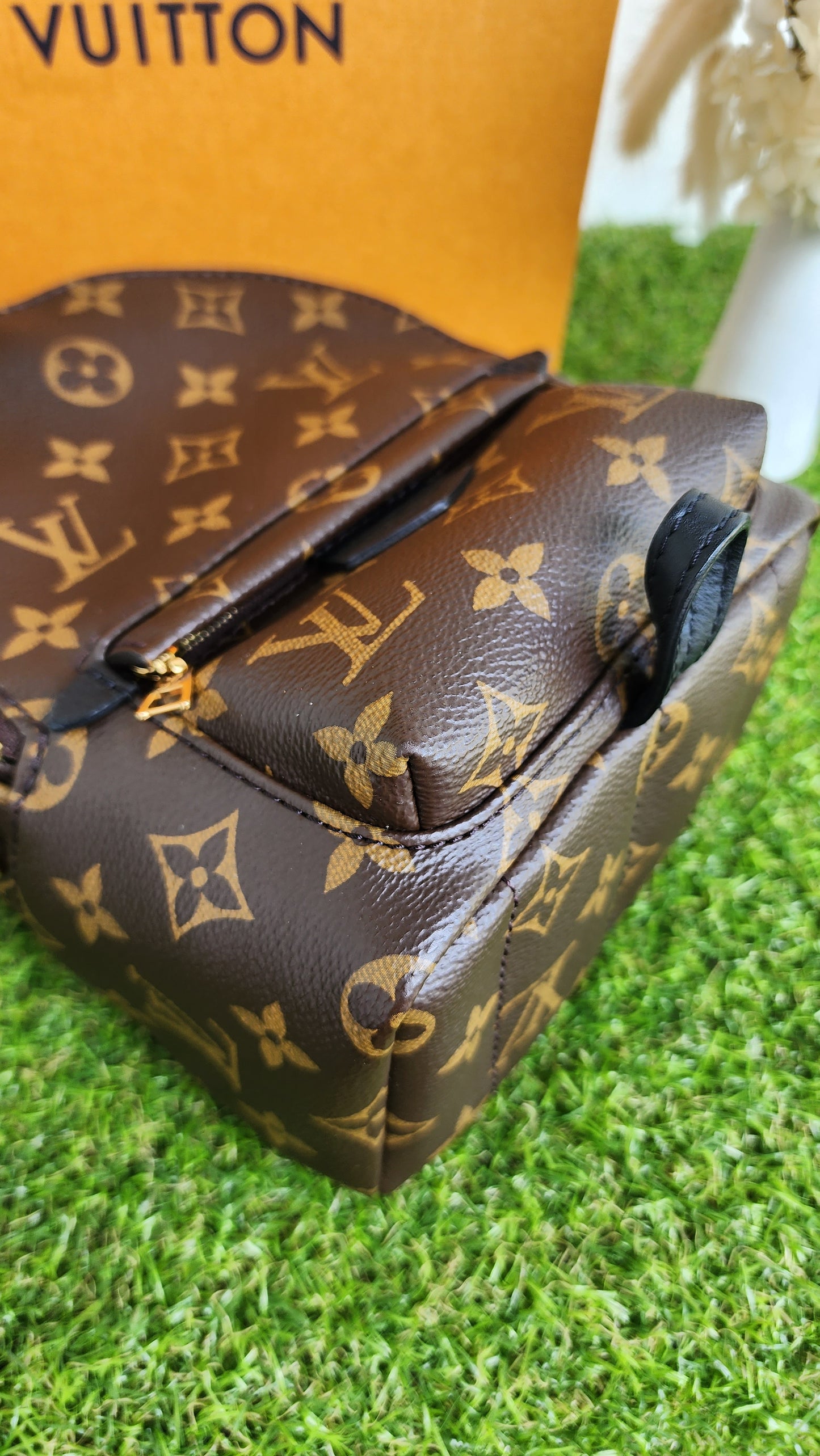LOUIS VUITTON PALMSPRING MINI MONO