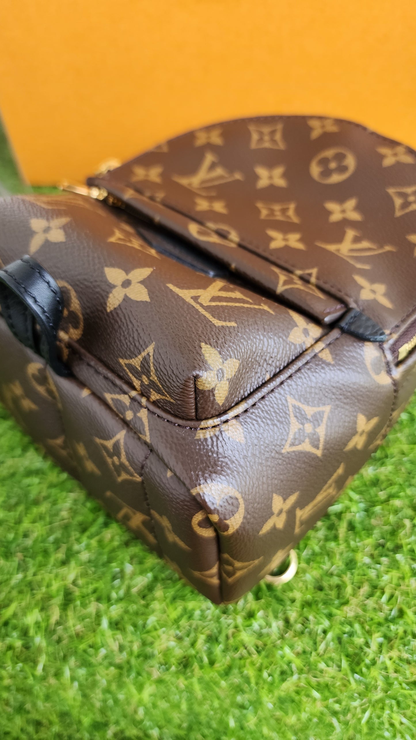 LOUIS VUITTON PALMSPRING MINI MONO