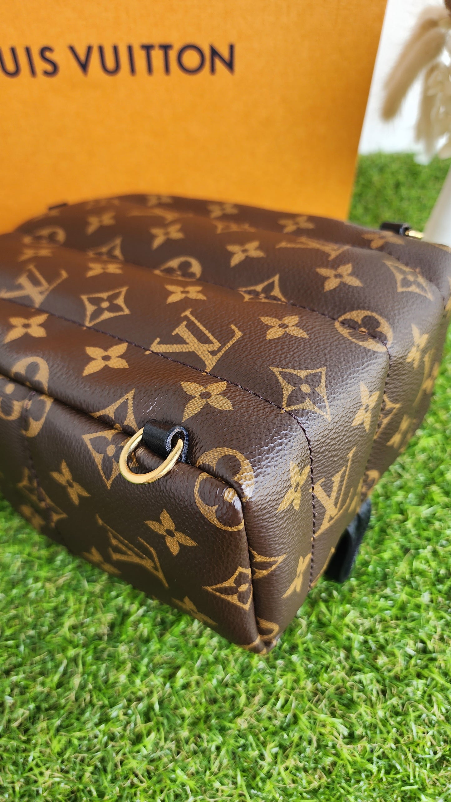 LOUIS VUITTON PALMSPRING MINI MONO