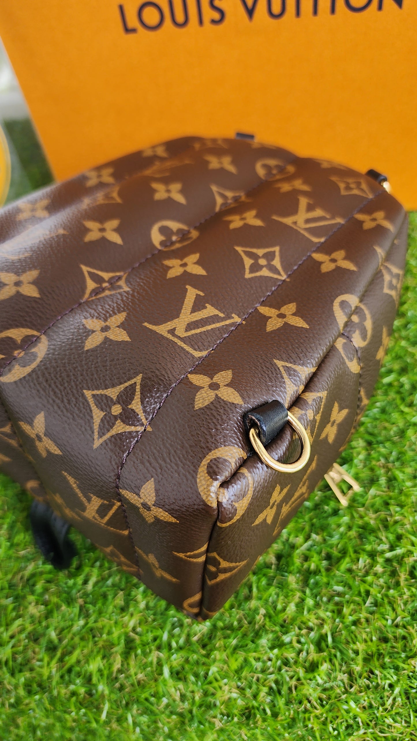 LOUIS VUITTON PALMSPRING MINI MONO