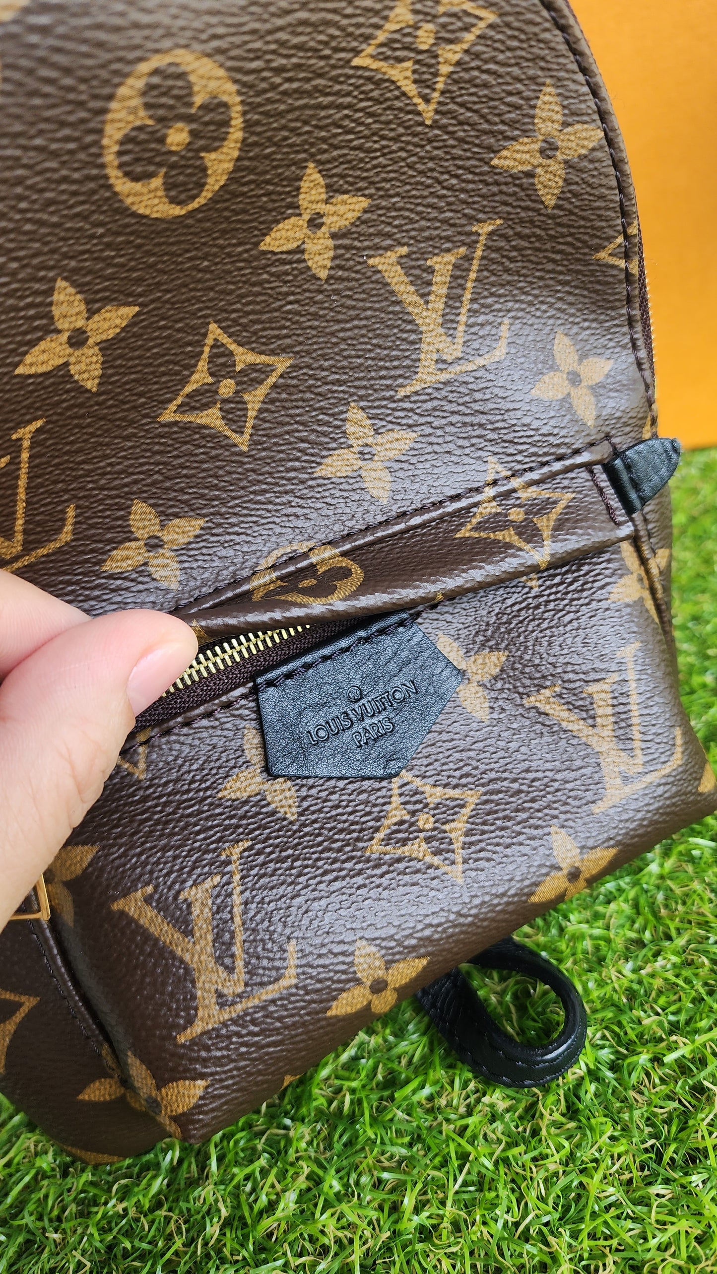LOUIS VUITTON PALMSPRING MINI MONO