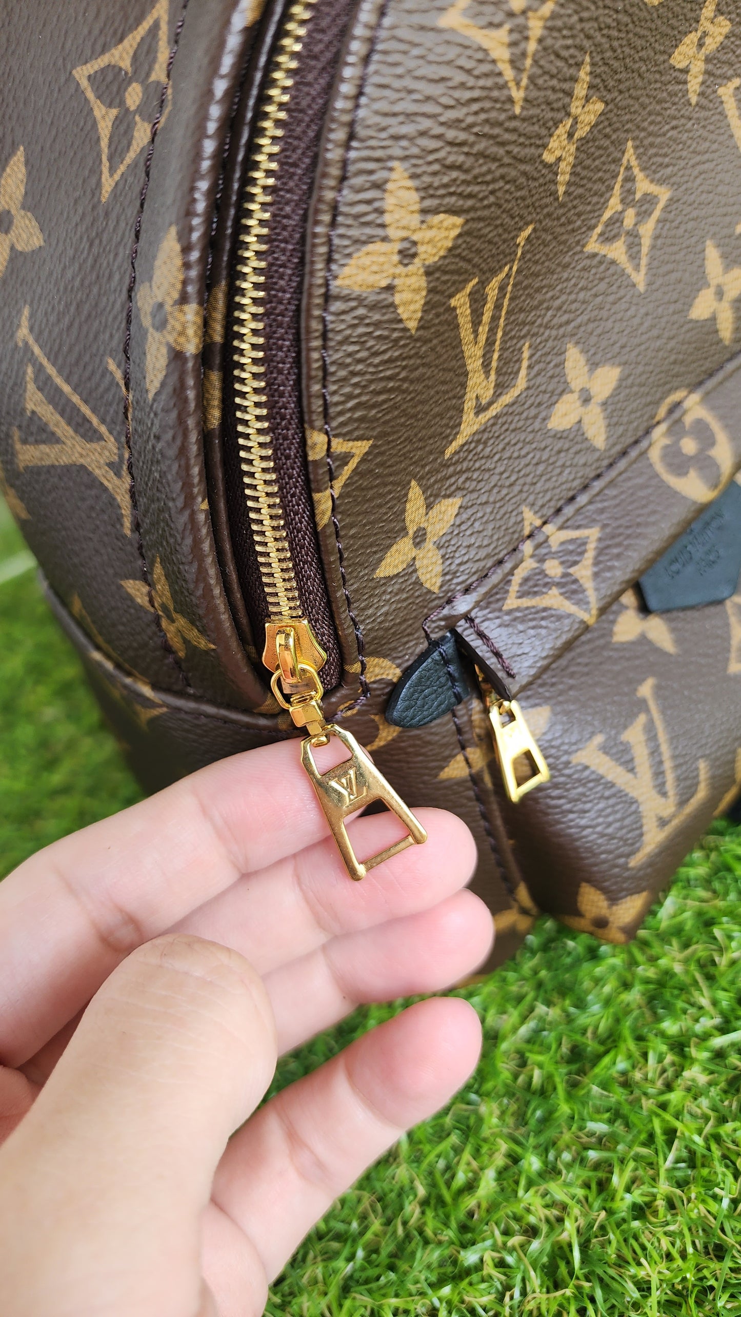 LOUIS VUITTON PALMSPRING MINI MONO