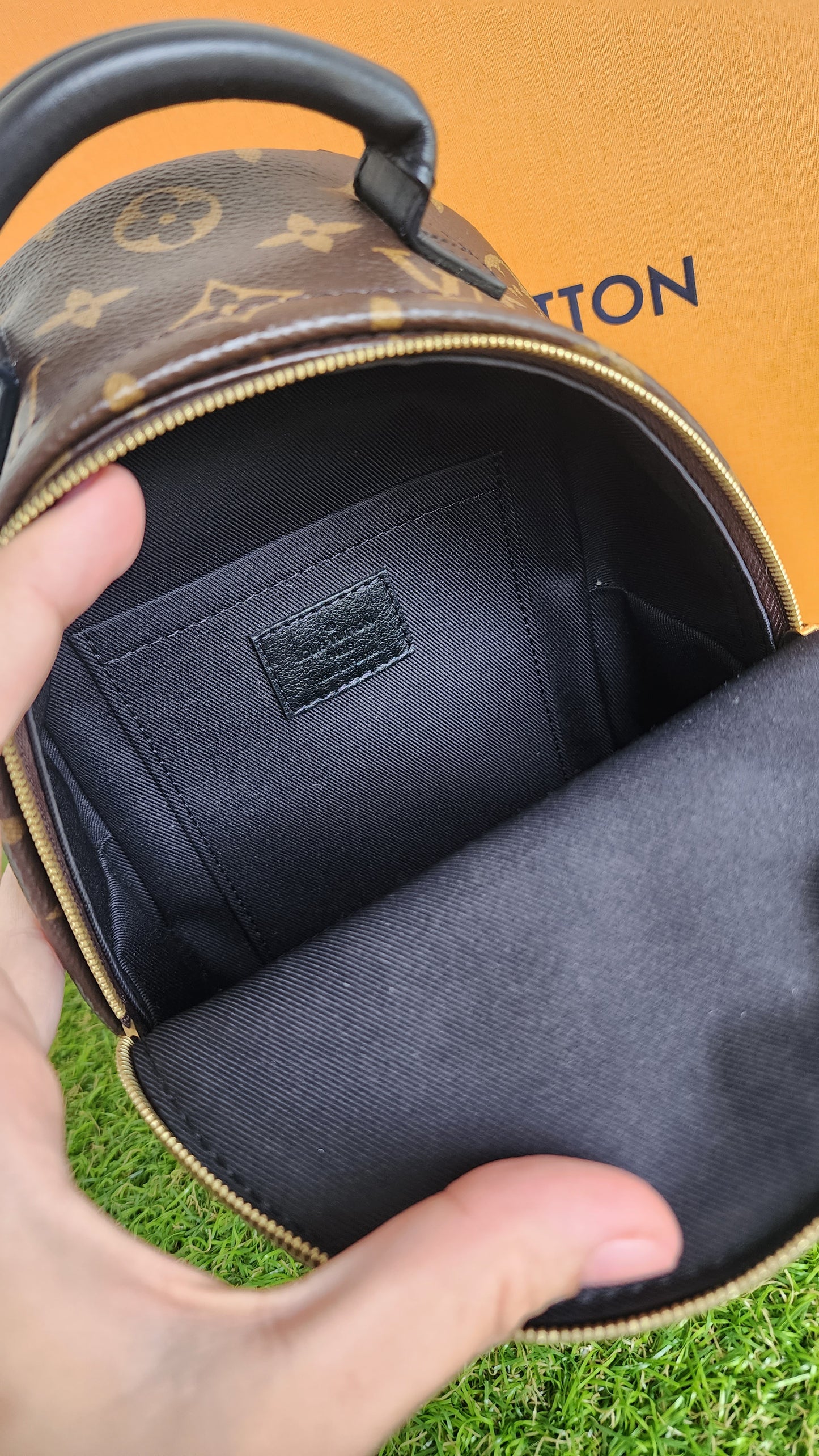LOUIS VUITTON PALMSPRING MINI MONO