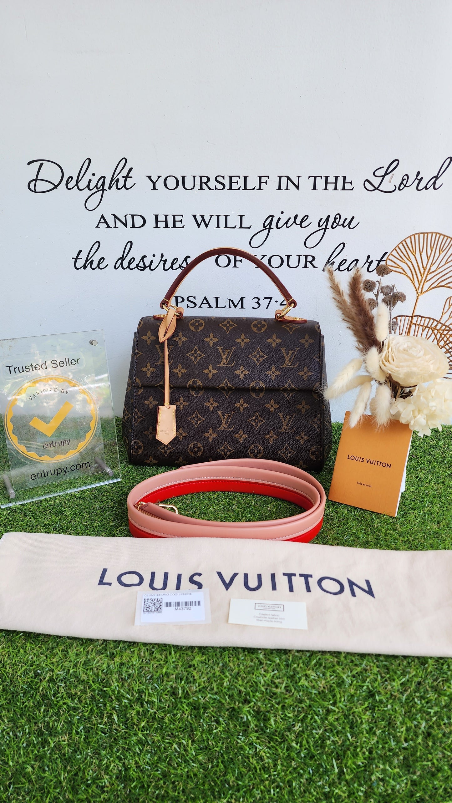 LOUIS VUITTON CLUNNY BB