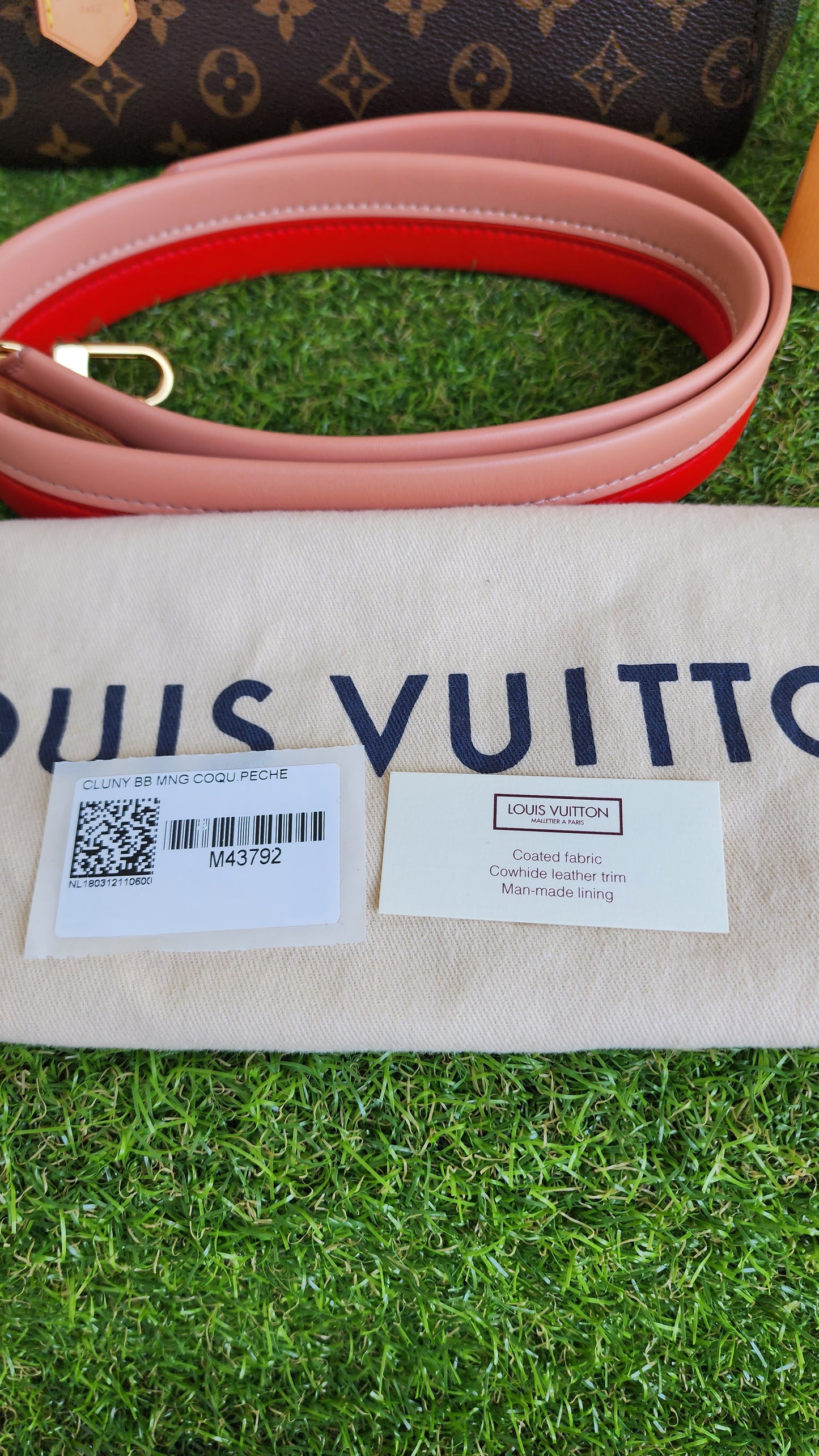 LOUIS VUITTON CLUNNY BB
