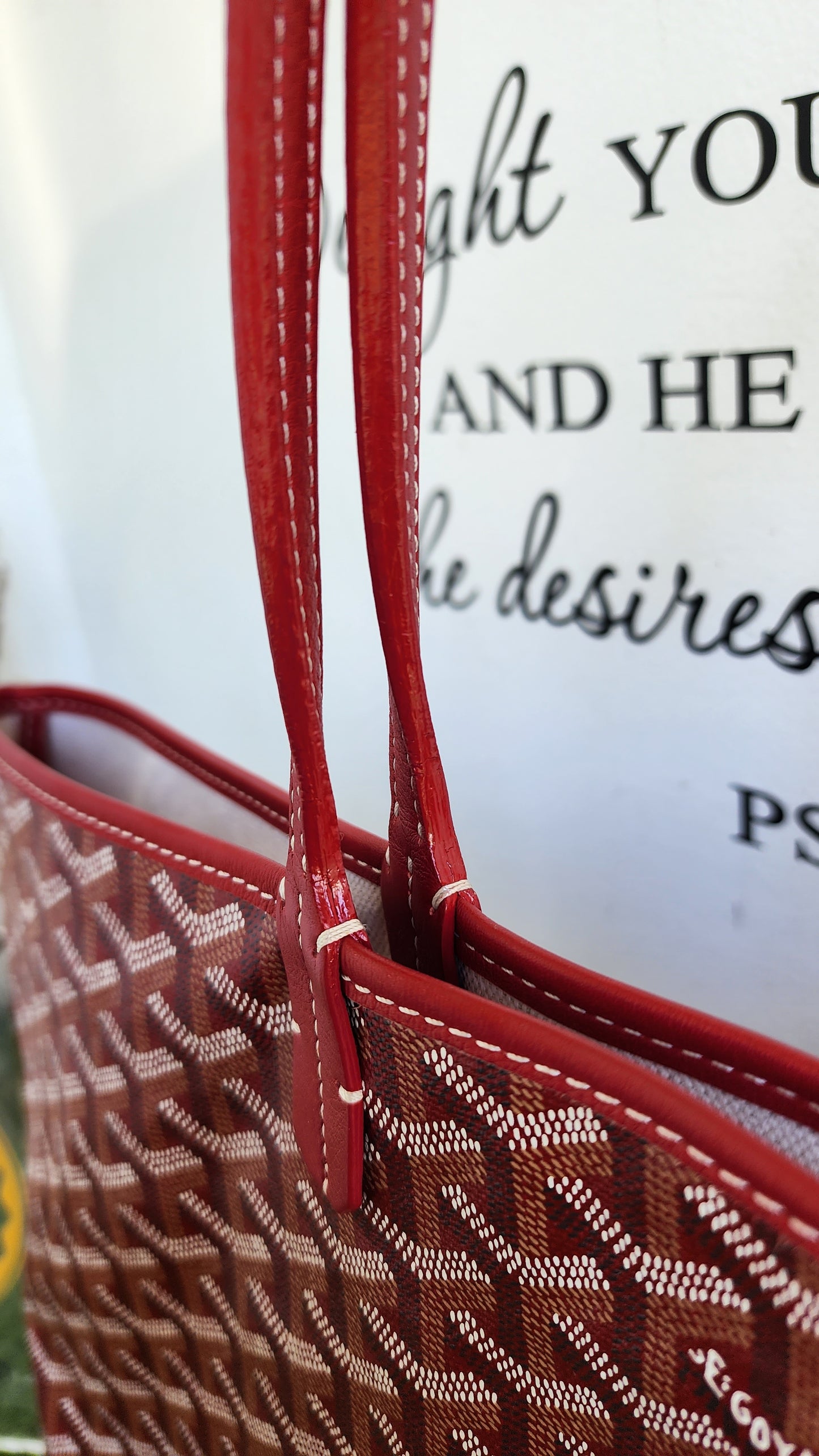 Goyard St Louis PM Red