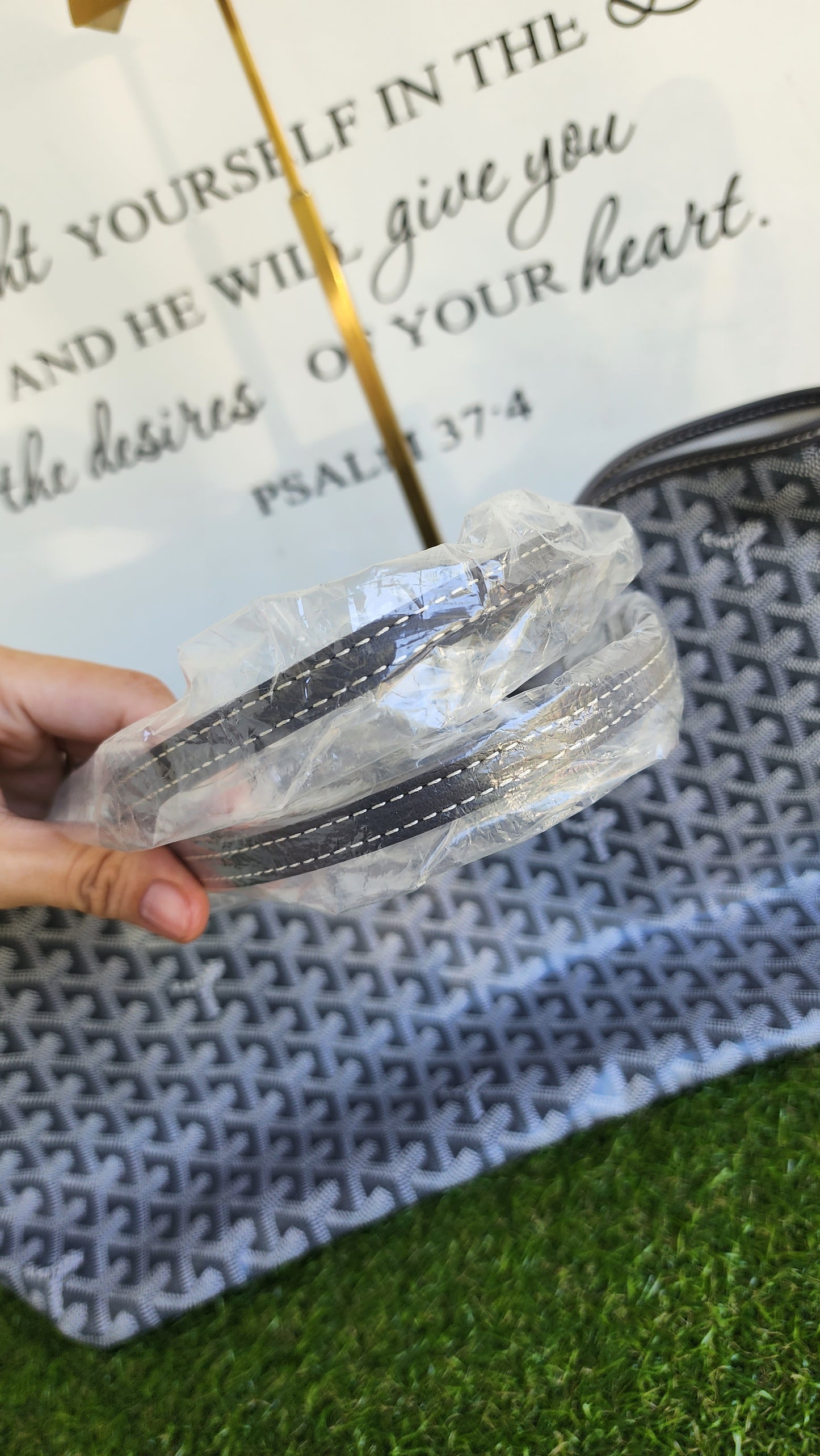 Brandnew Goyard St Louis PM