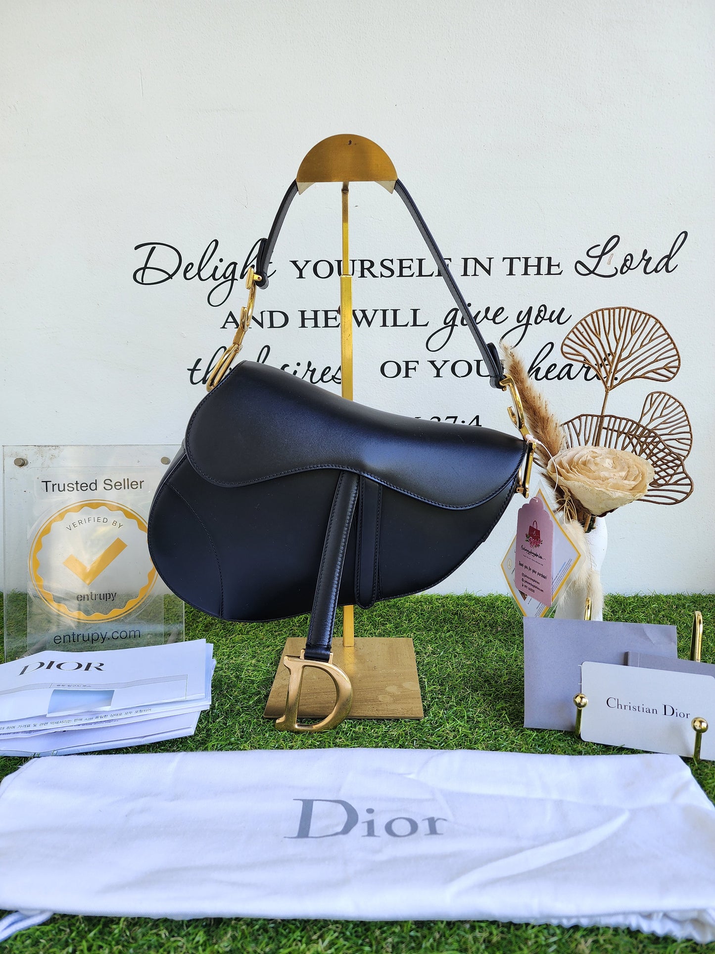 DIOR SADDLE CLASSIC
