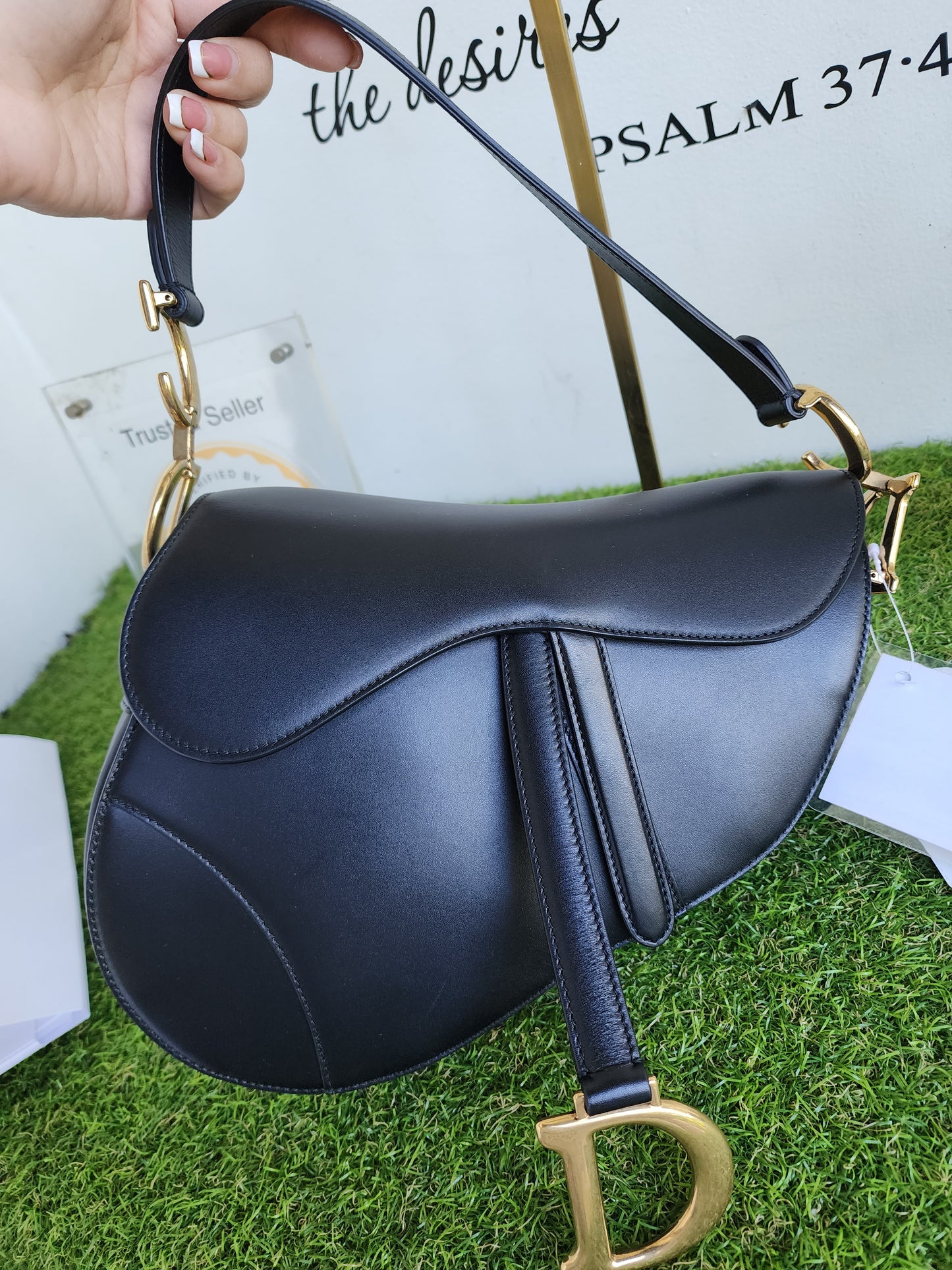 DIOR SADDLE CLASSIC
