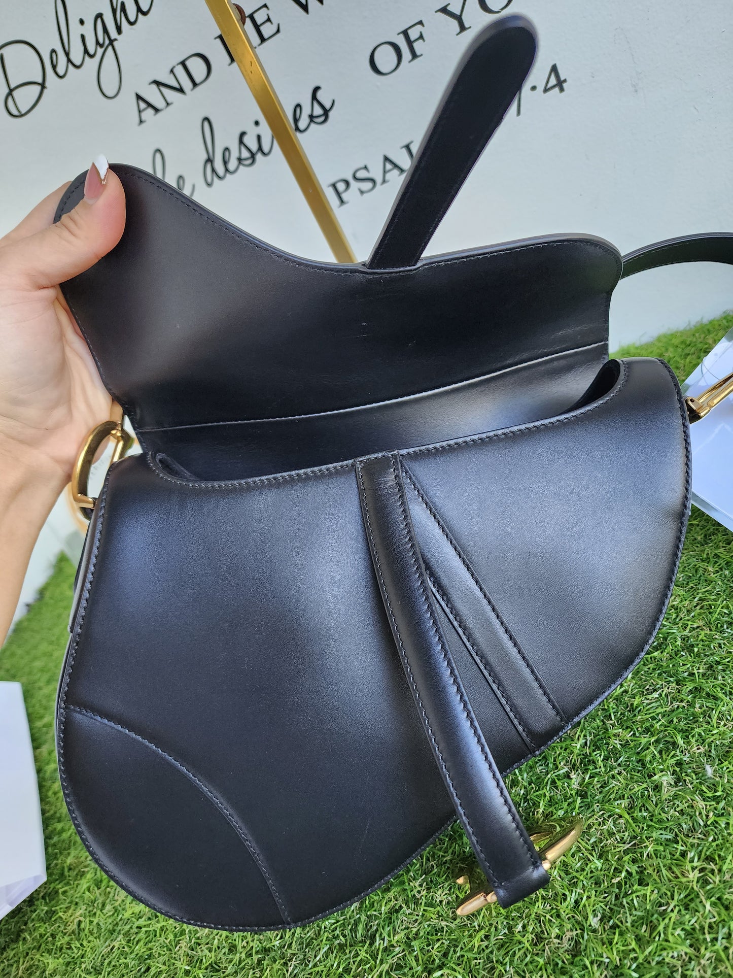 DIOR SADDLE CLASSIC