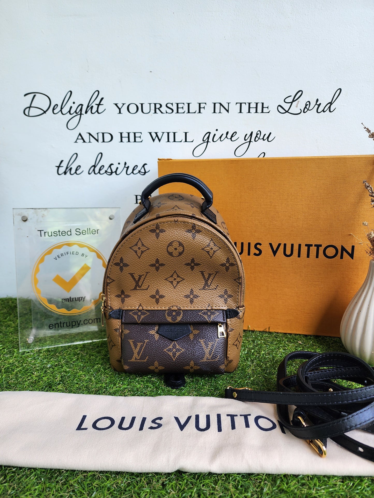 LOUIS VUITTON PALMSPRING MINI REVERSE