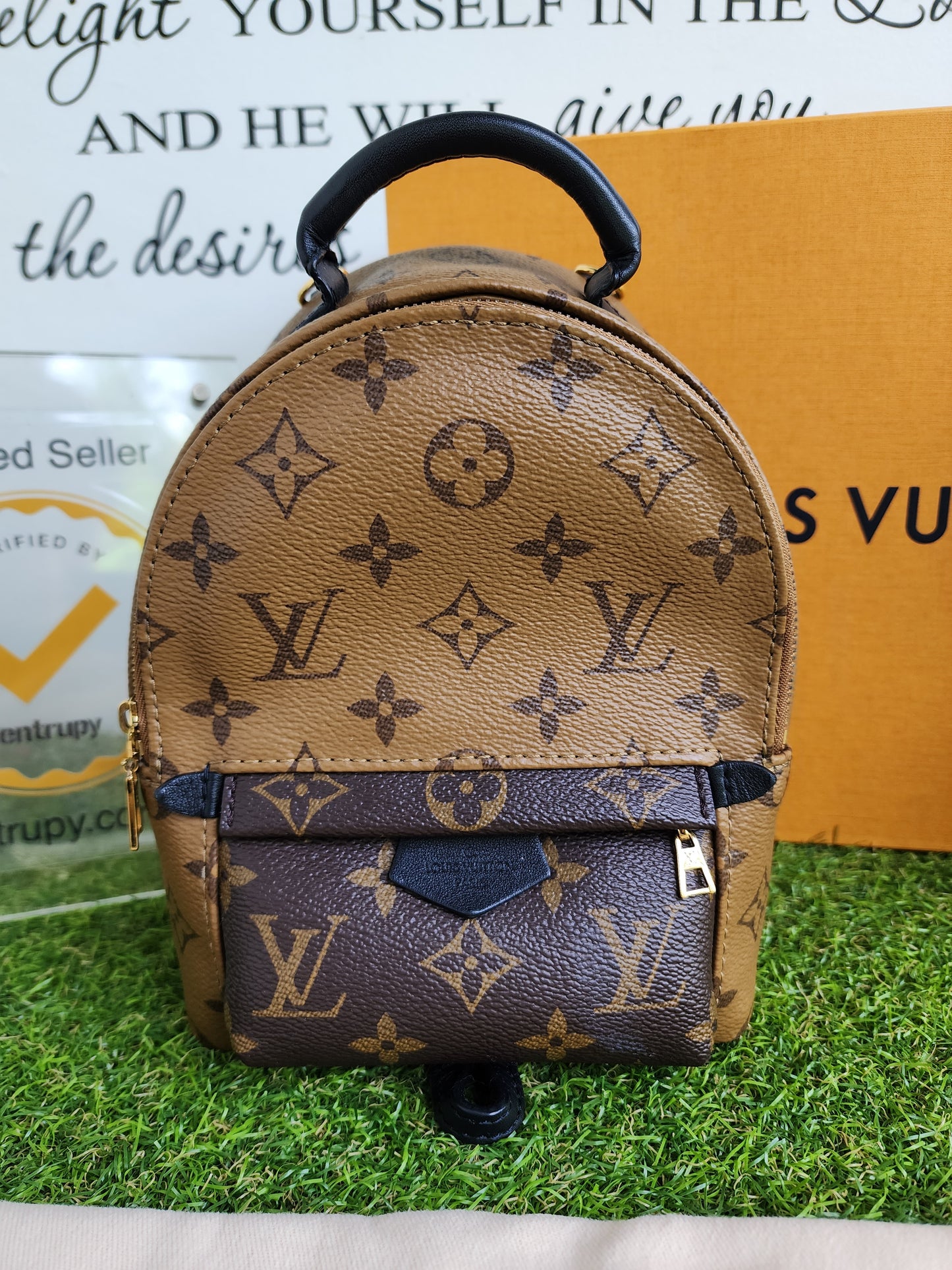 LOUIS VUITTON PALMSPRING MINI REVERSE